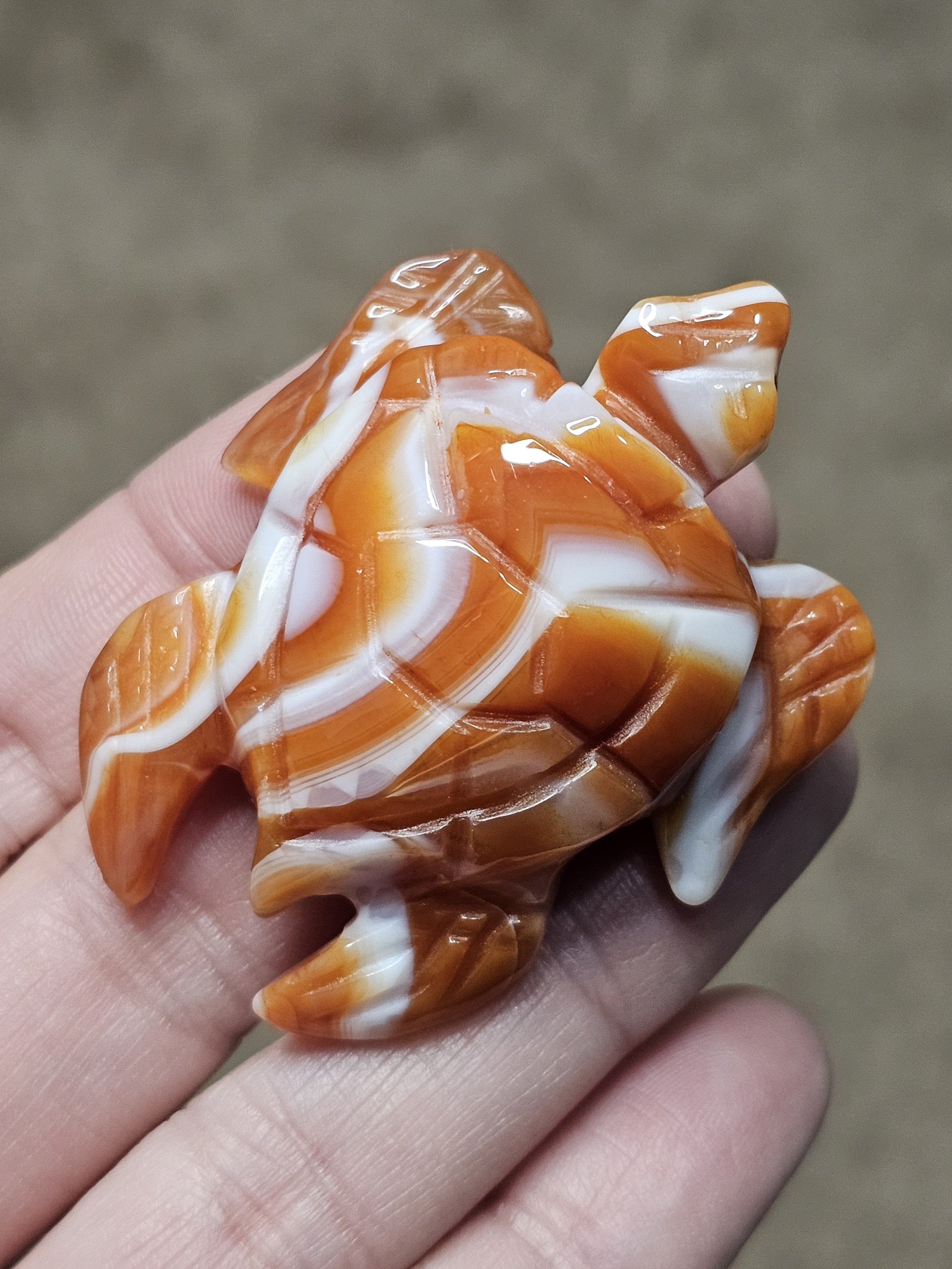 Carnelian Turtle #4.jpg