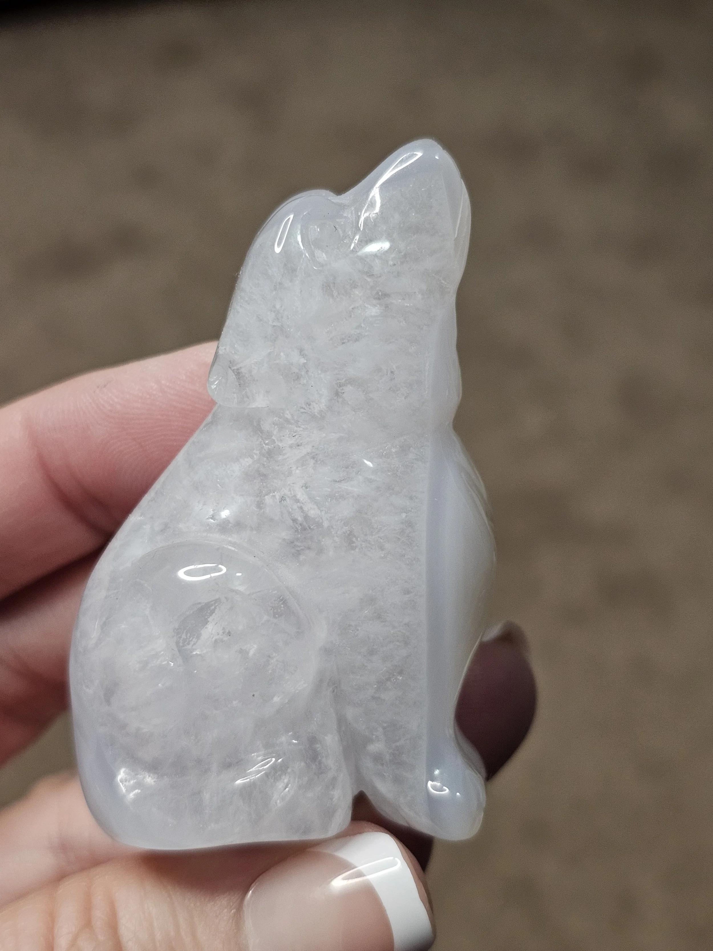 Wolves-Various Styles