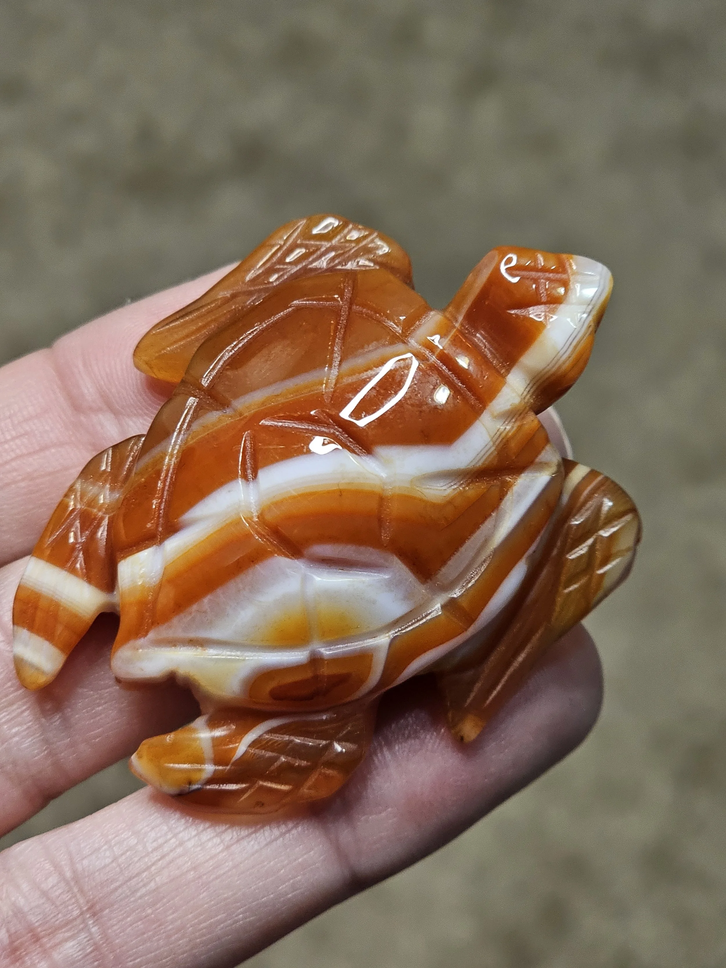 Carnelian Turtle #7.jpg