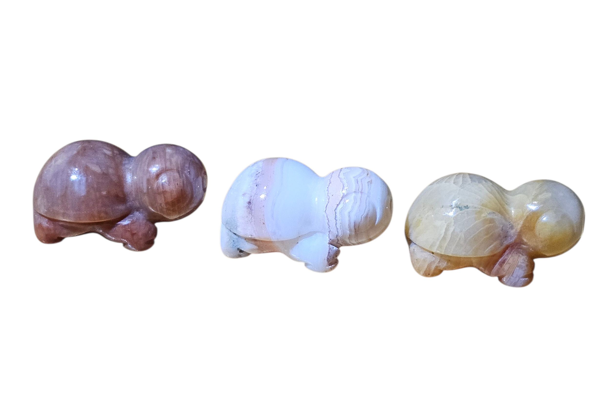 Mini Turtles- Coral Jade