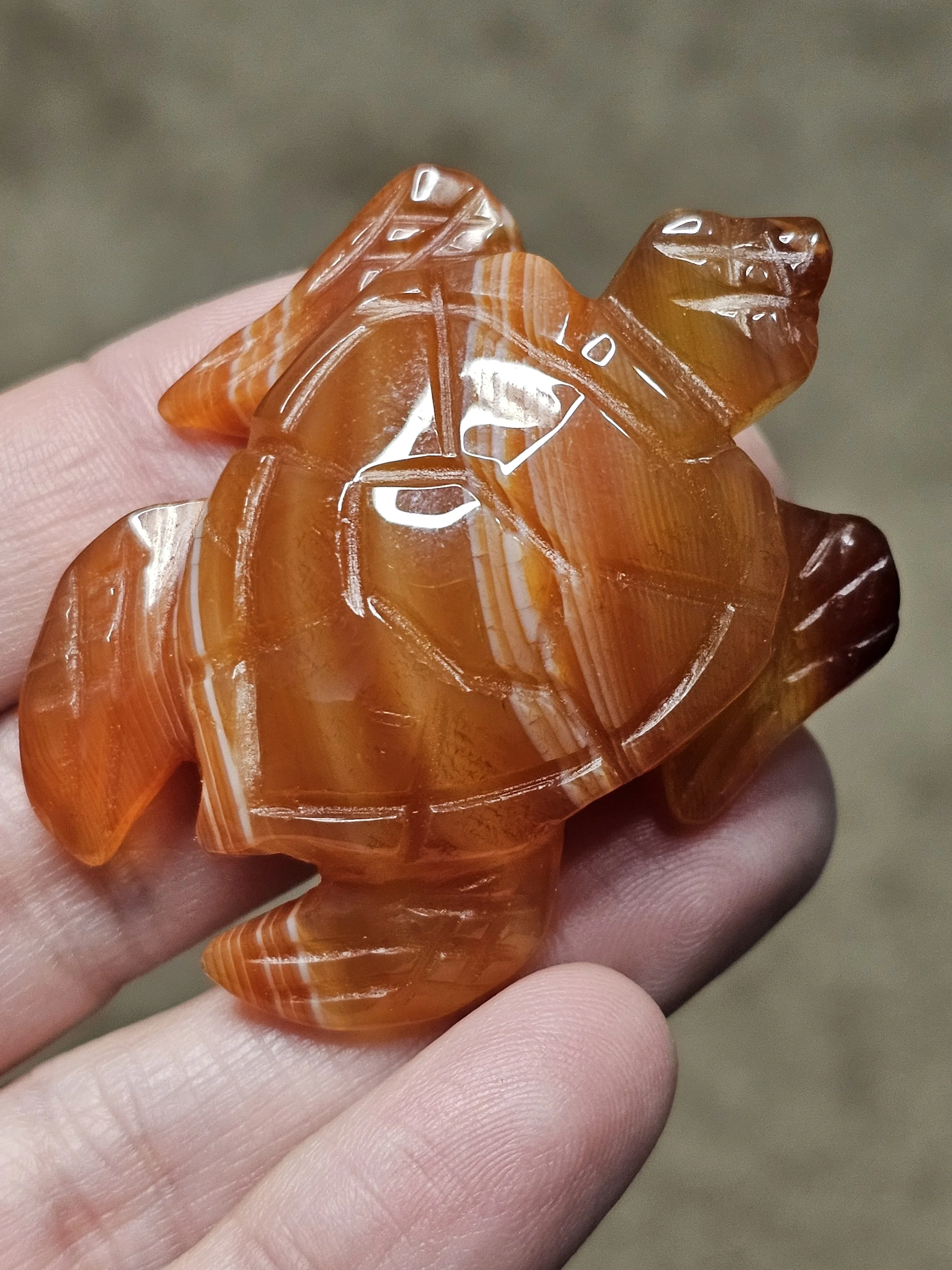 Carnelian Turtle #1.jpg