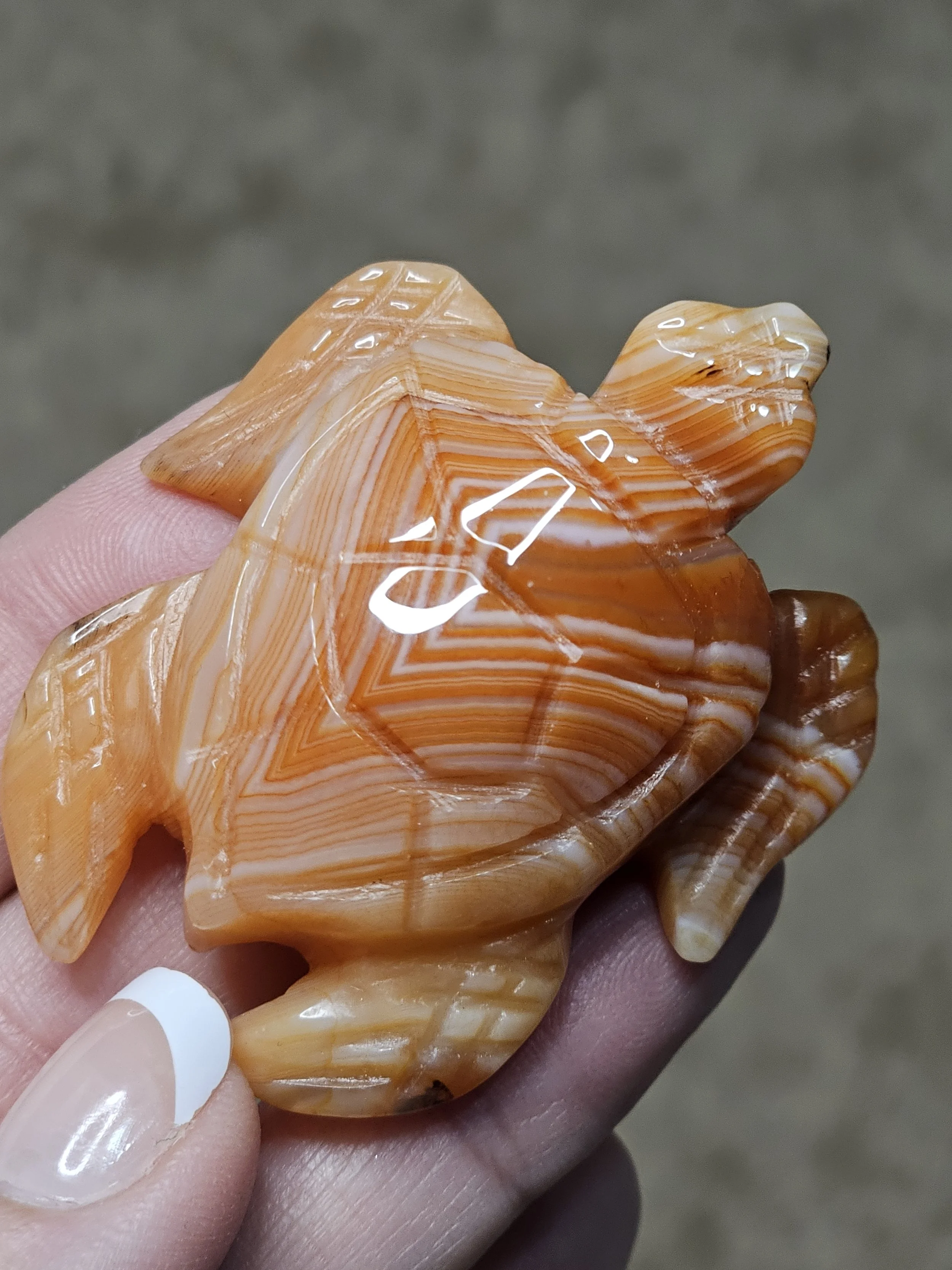Carnelian Turtle #8.jpg