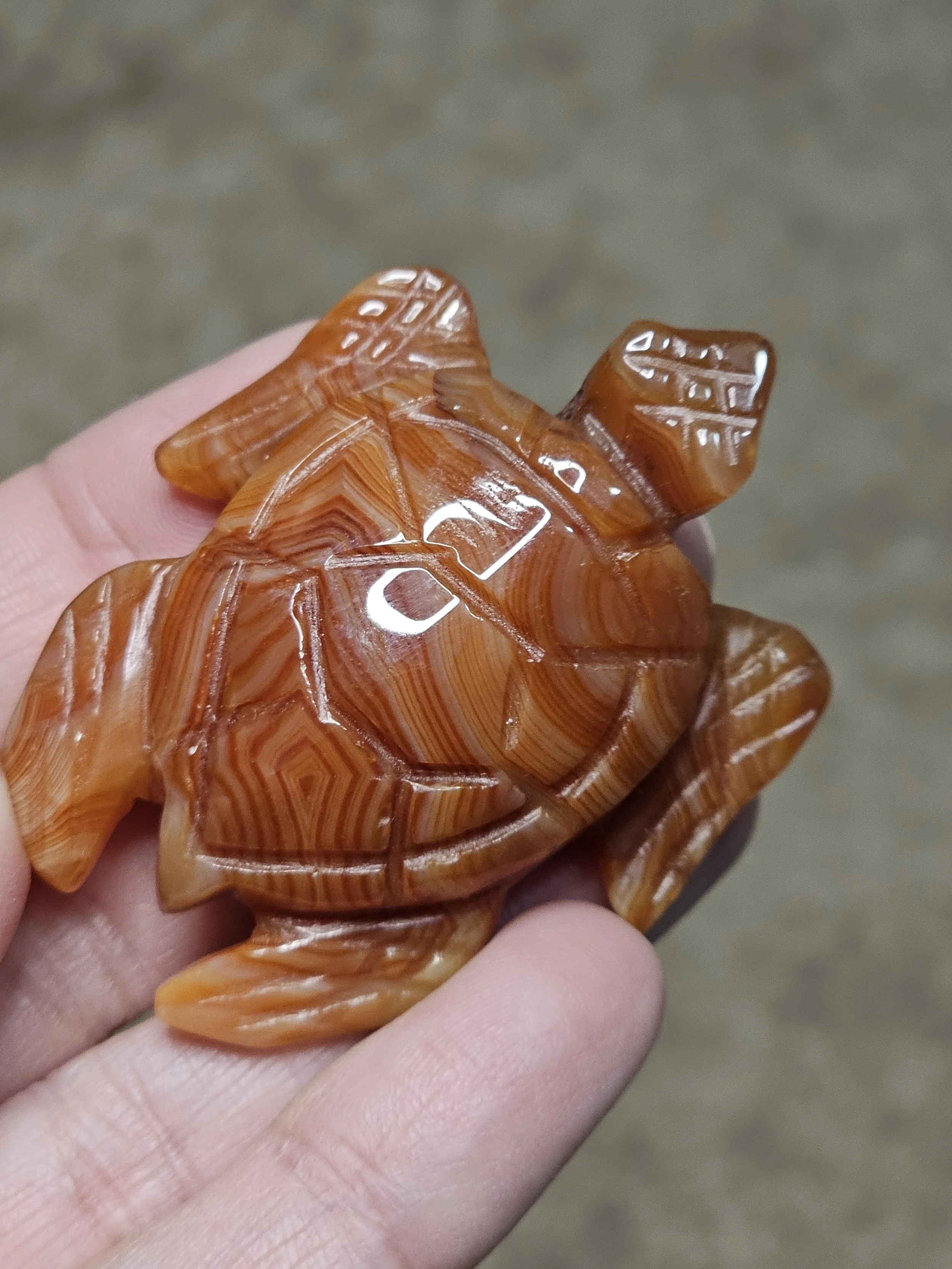 Carnelian Turtle #6.jpg