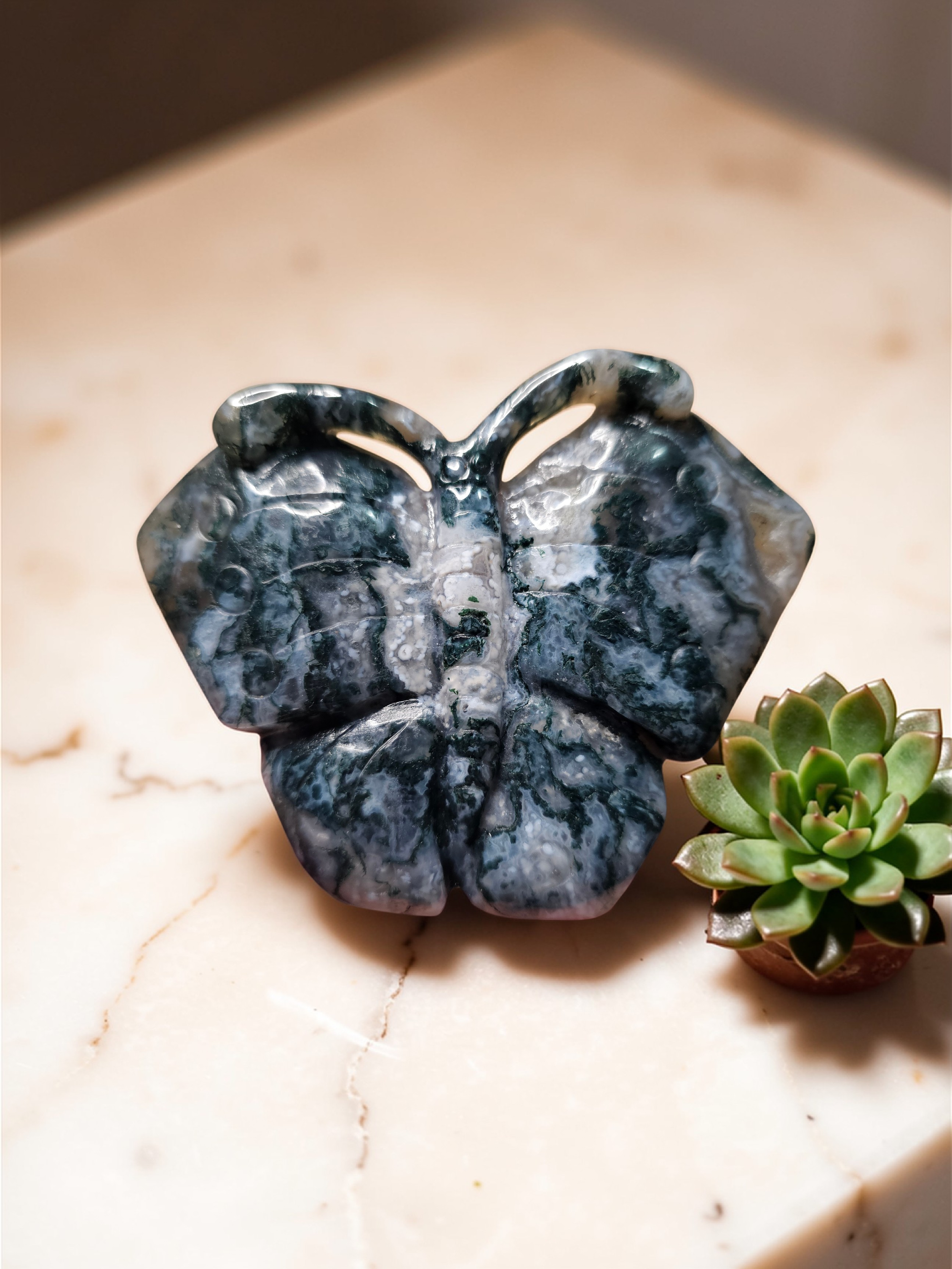 Butterflies- Various Materials