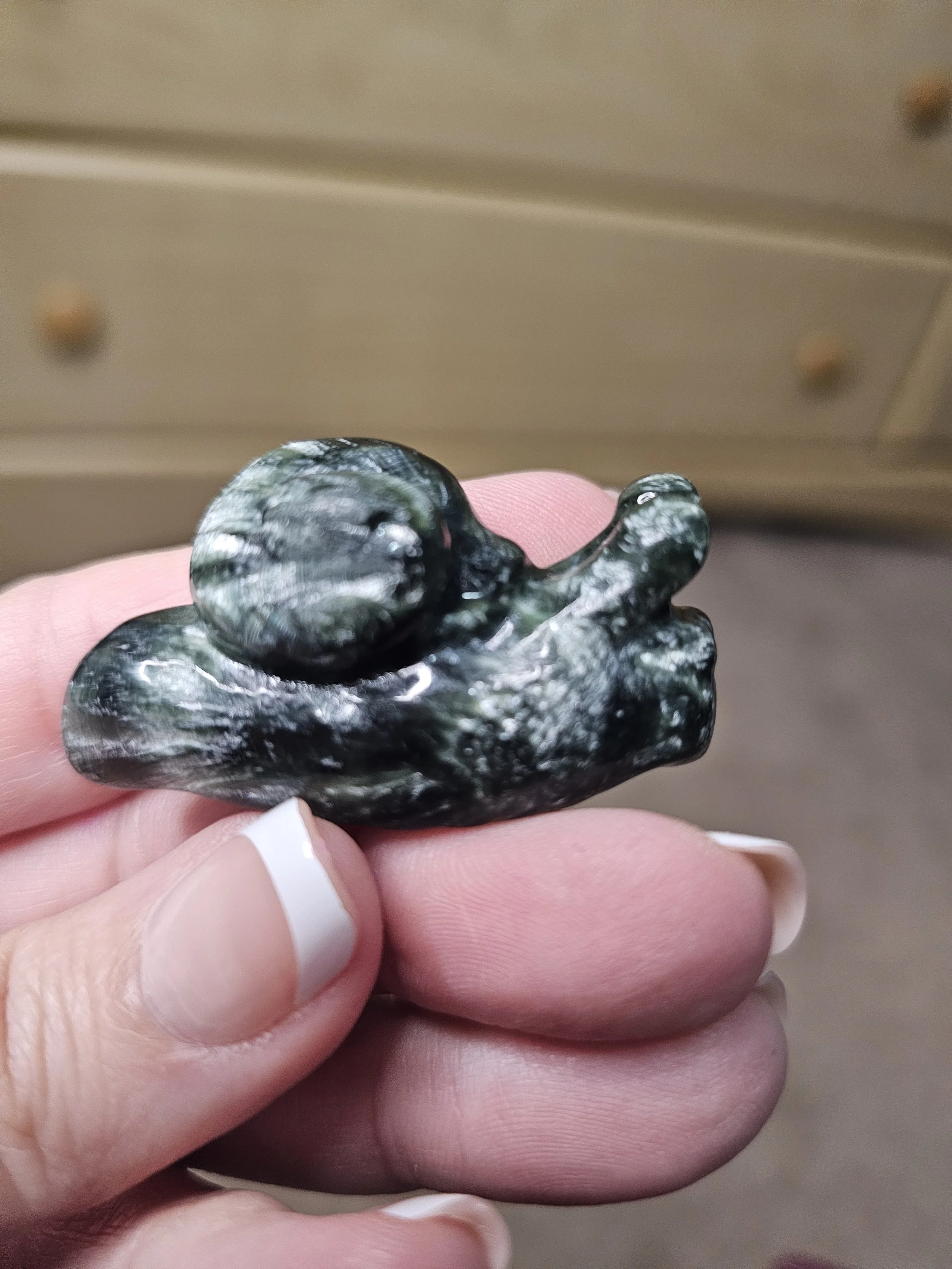 Seraphinite Snail