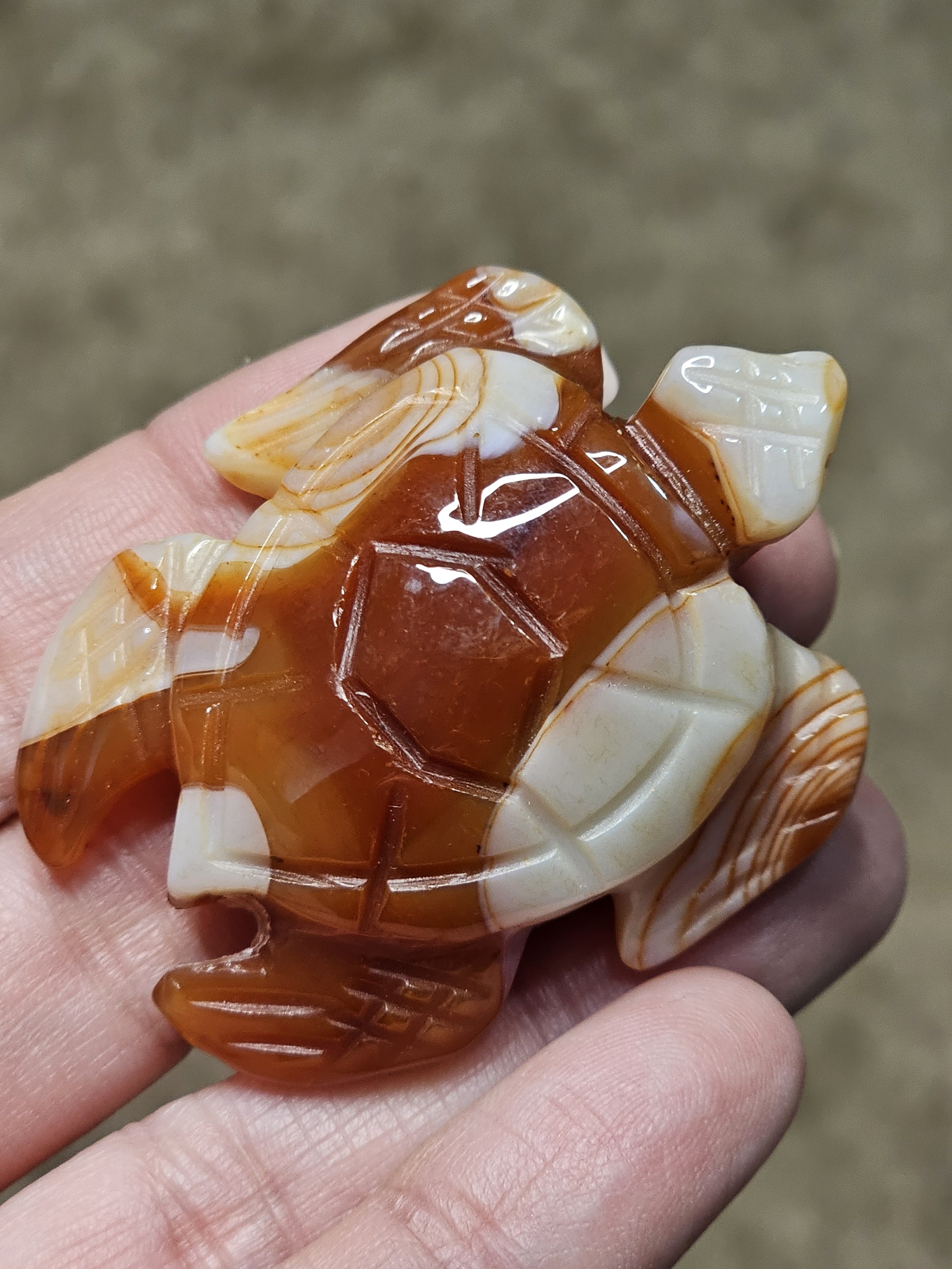 Carnelian Turtle #3.jpg