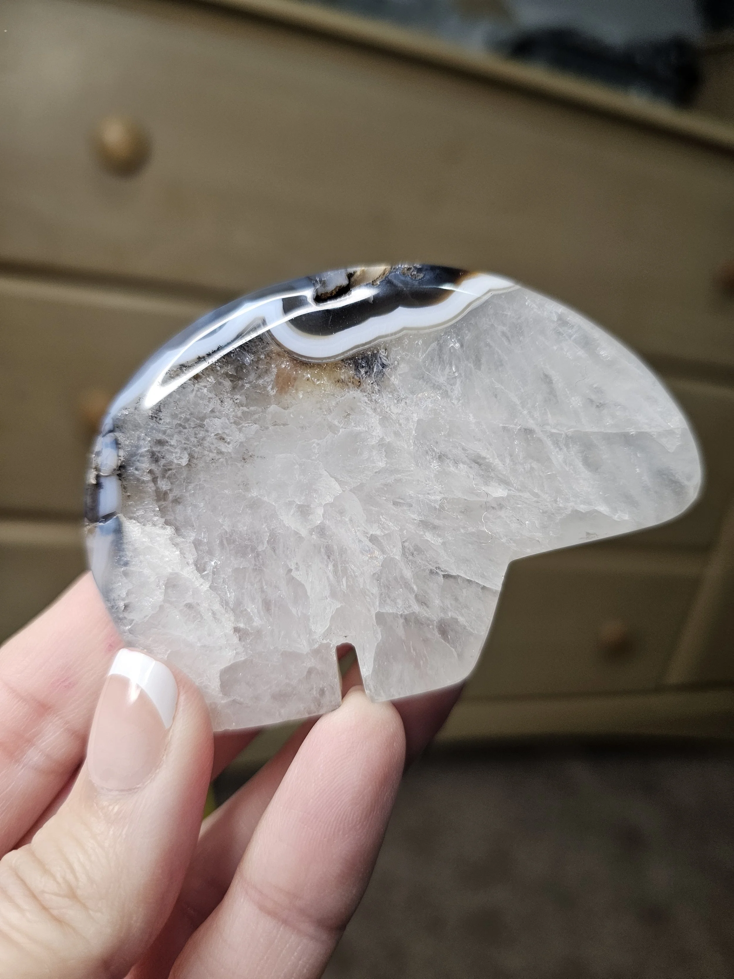 Bear Style 2 #3- $22.jpg