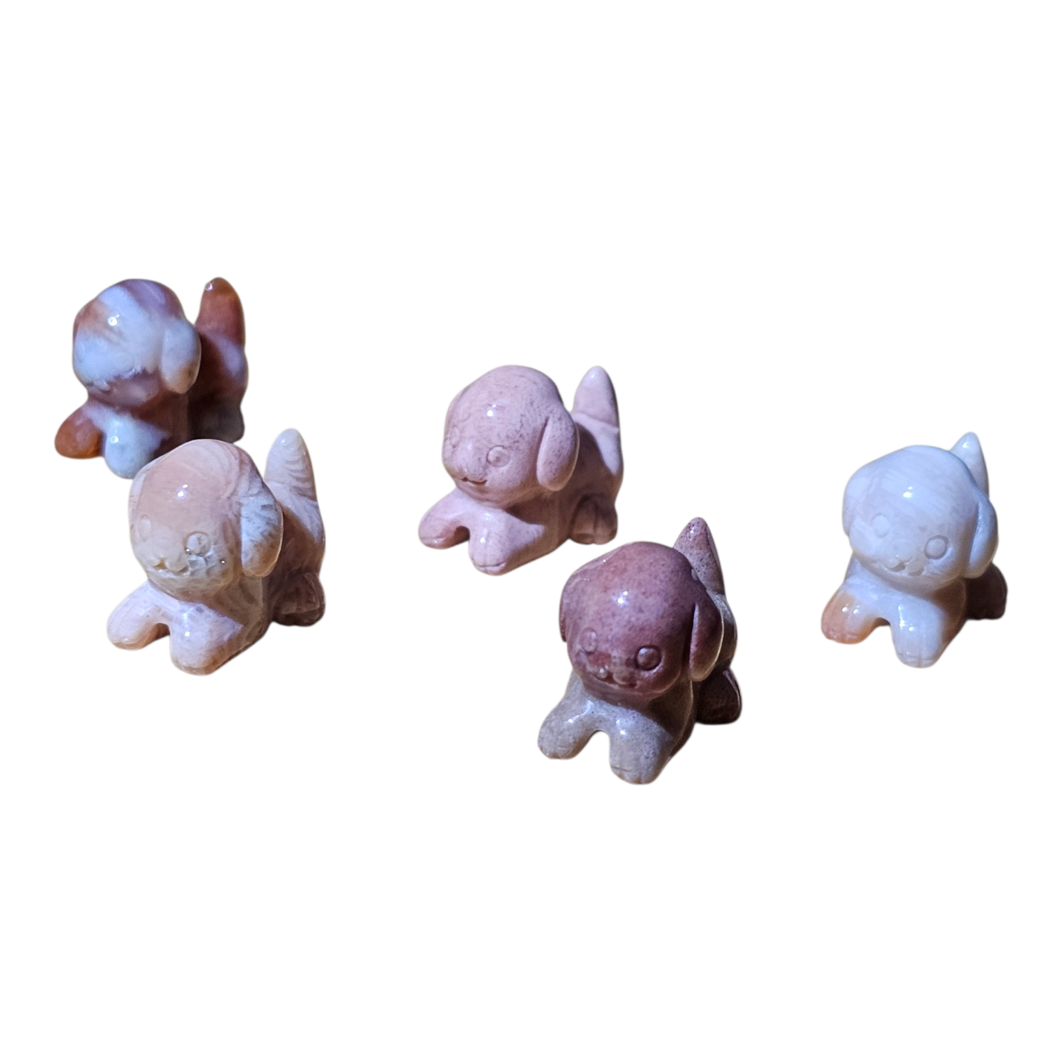 Mini Dogs Coral Jade