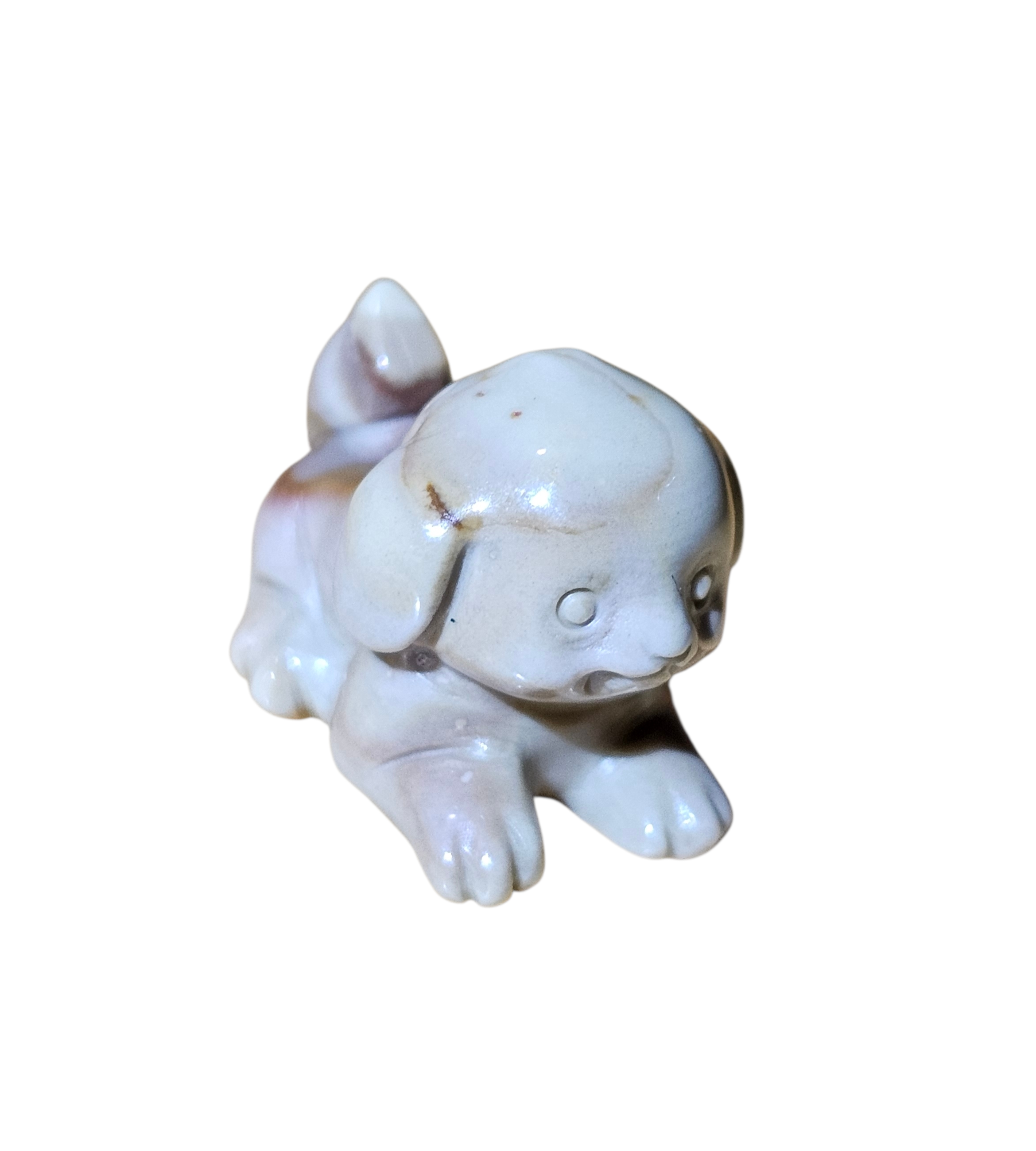 Mini dog 3.png