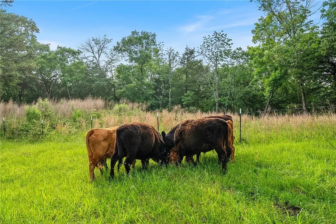 e23dc1aa3ce4315374ee4eaa7e86ac31-uncropped_scaled_within_1536_1152 (1).jpeg