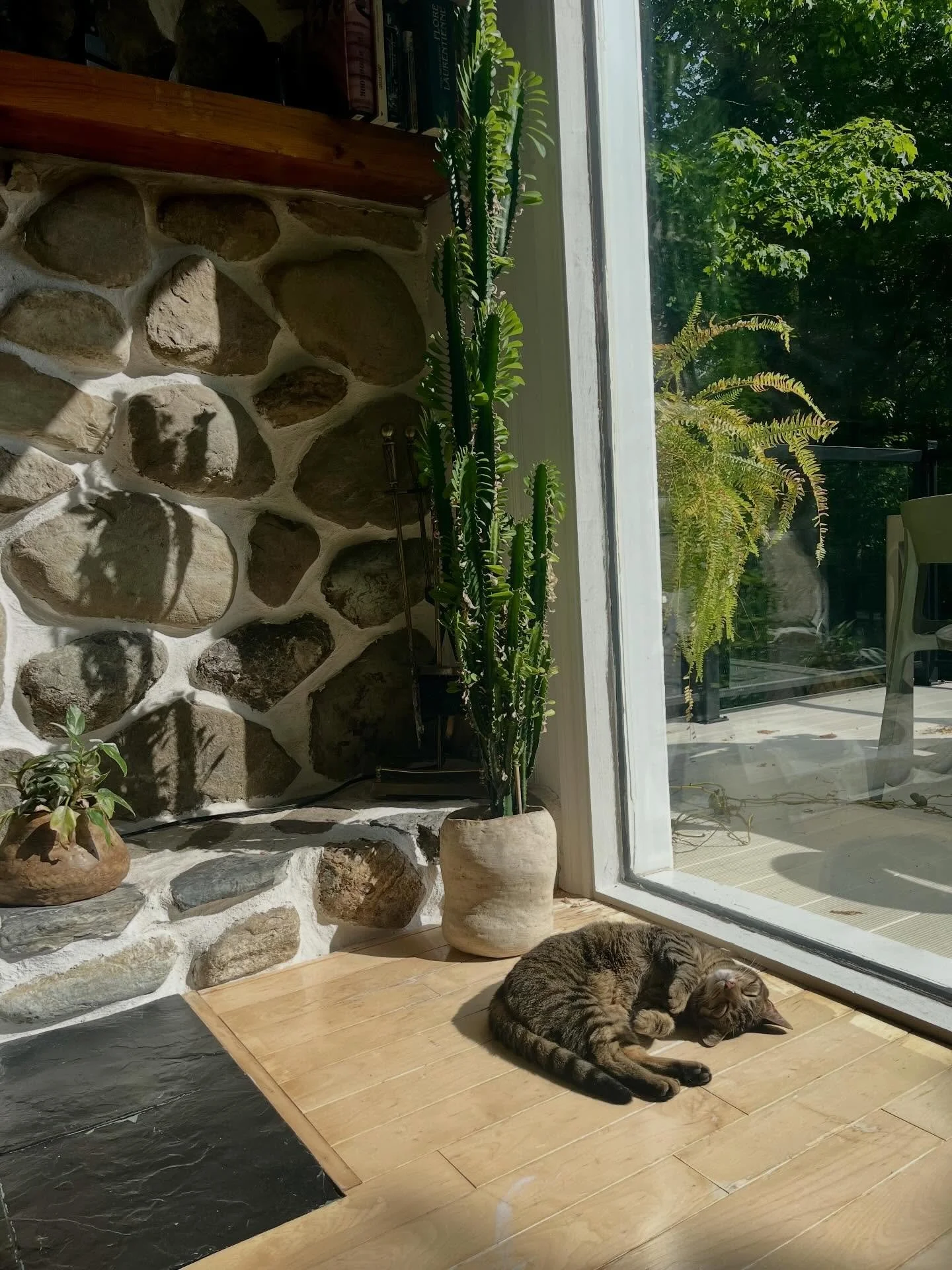 Vases de In&eacute;dit, id&eacute;al pour les plantes. Paul de Soleil