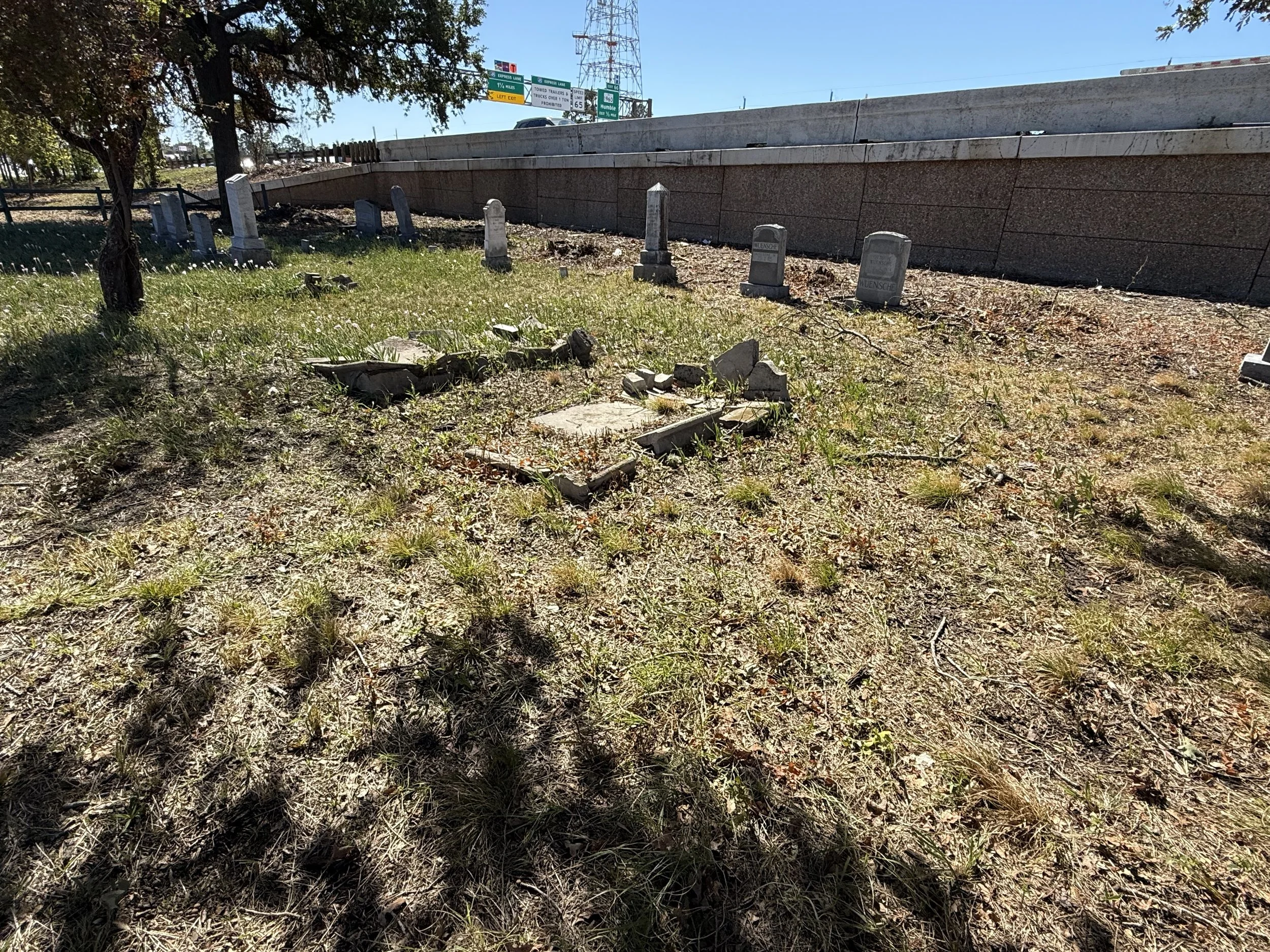 Wunsche Family Gravestones