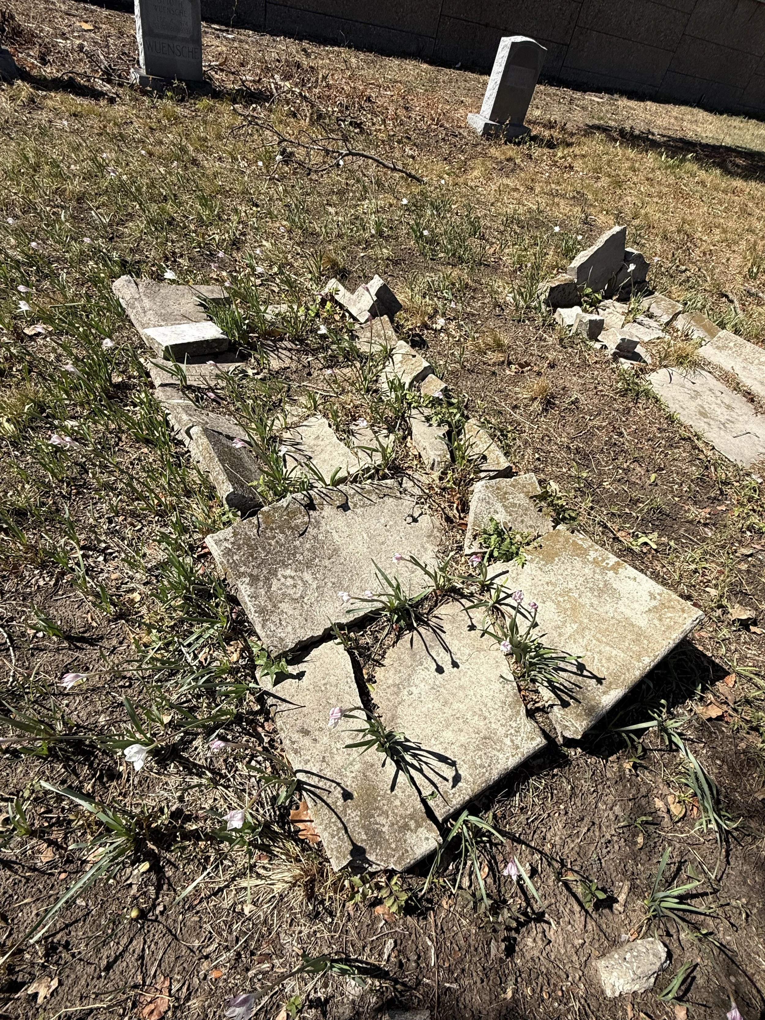Wunsche Family Gravestones.