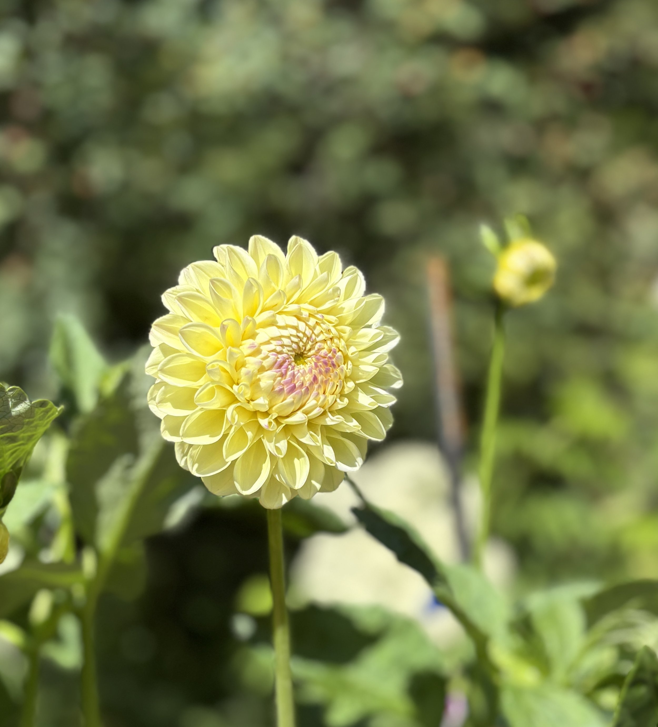 IMG_0687.jpeg