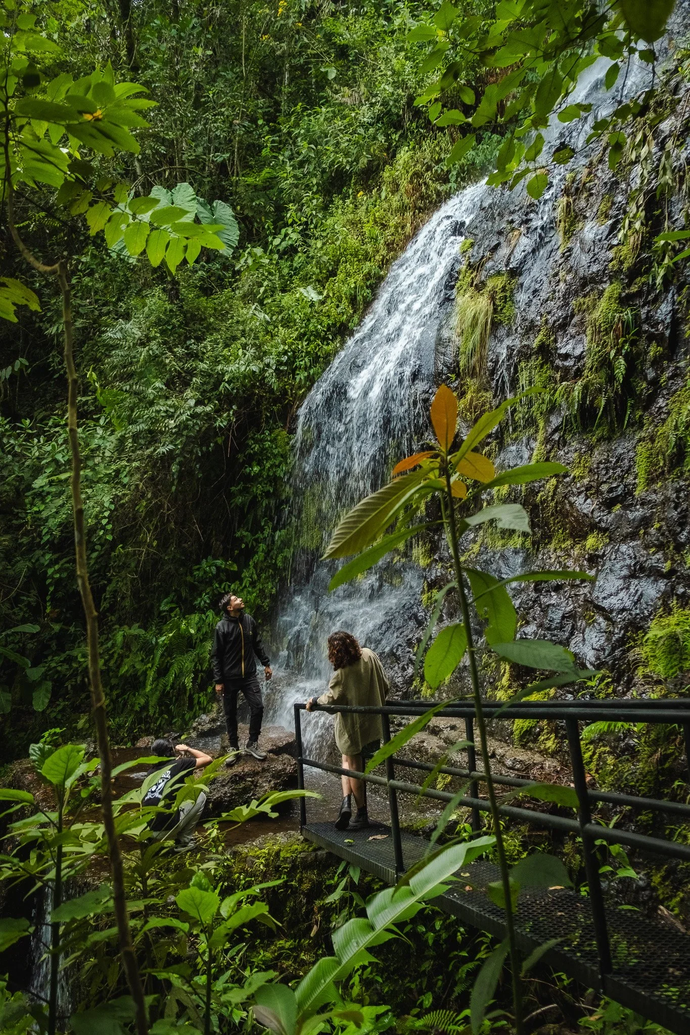 Guided Hike