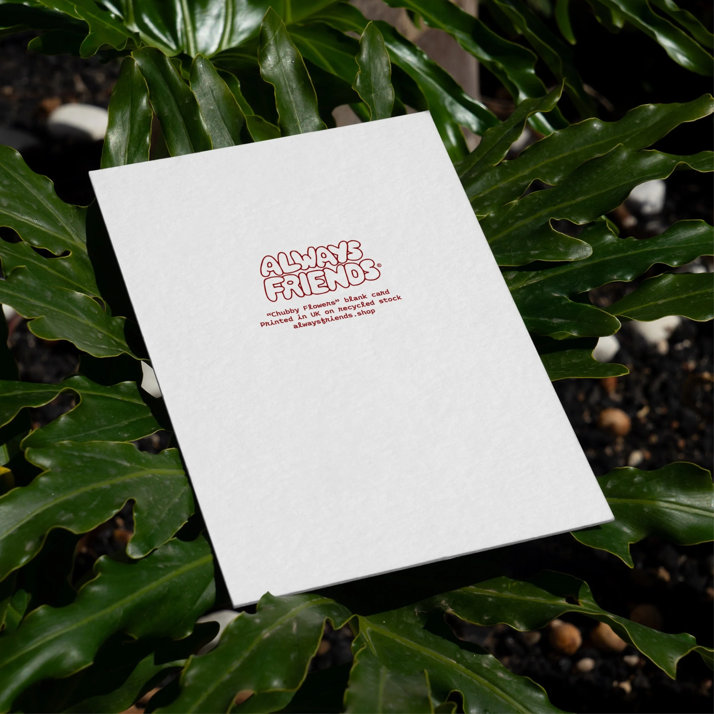 Chunky Flowers - Back [Hero] 1_1.jpg