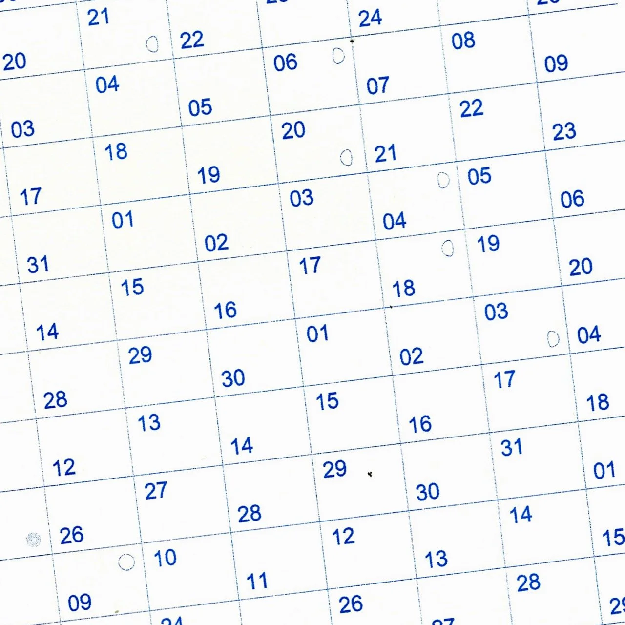 Calendar [Zoom 1] 1_1 Large.jpeg