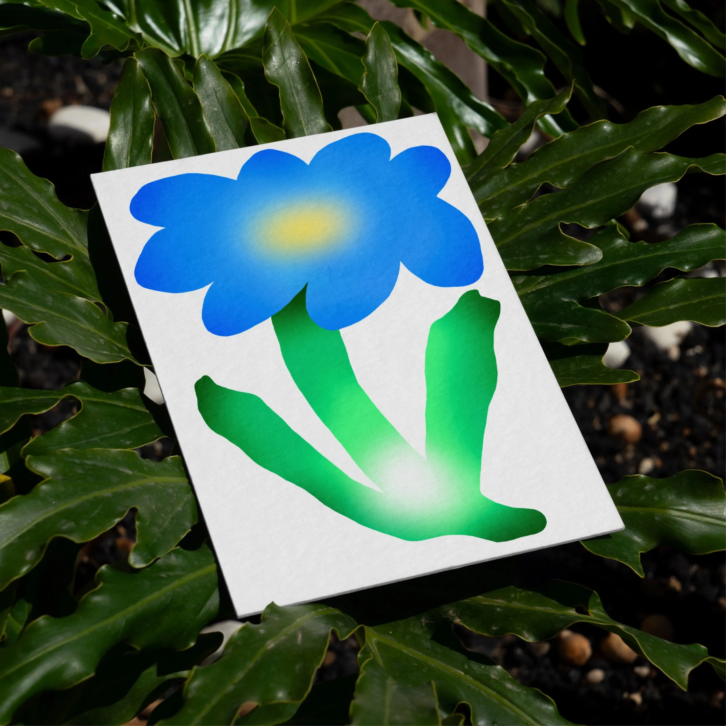 Chunky Flowers - Cornflower [Hero] 1_1.jpg