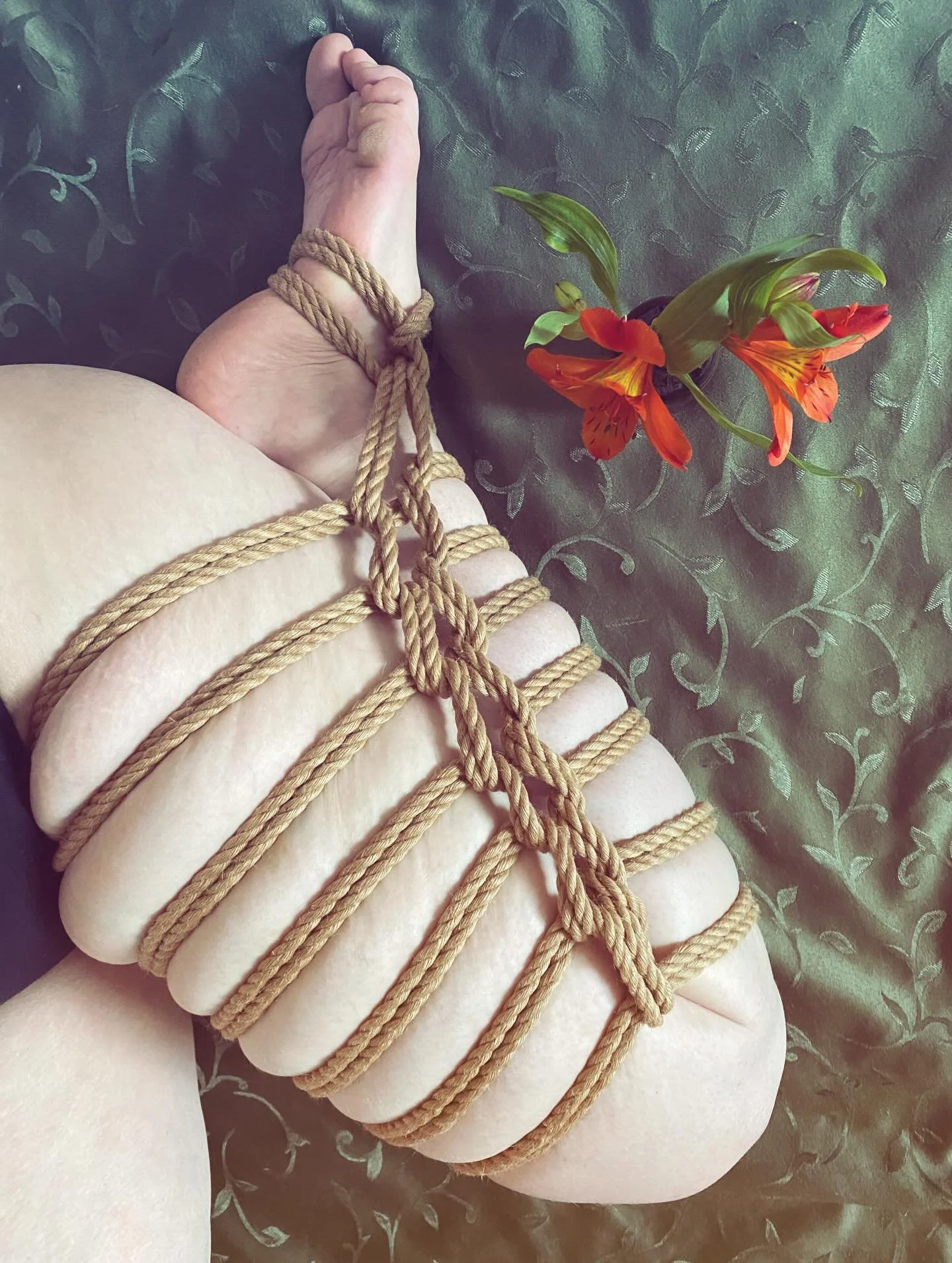 it&rsquo;s #futofebruary 🌷

#shibari #futomomo #shibariart