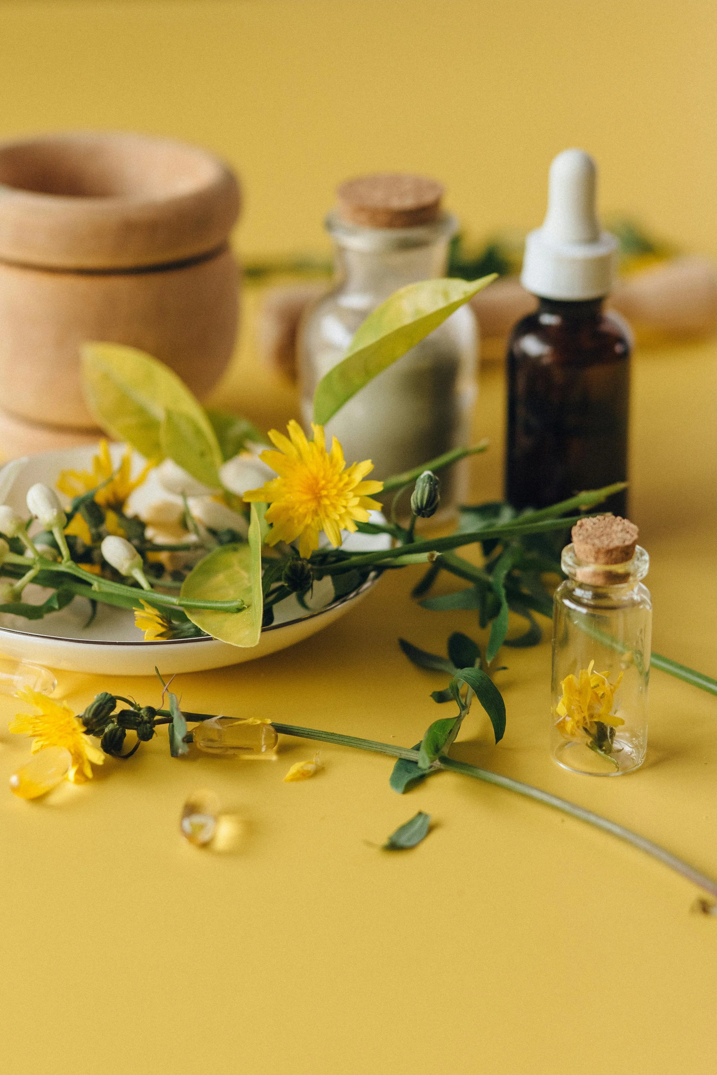 Herbal Tinctures: Why Consistency Matters