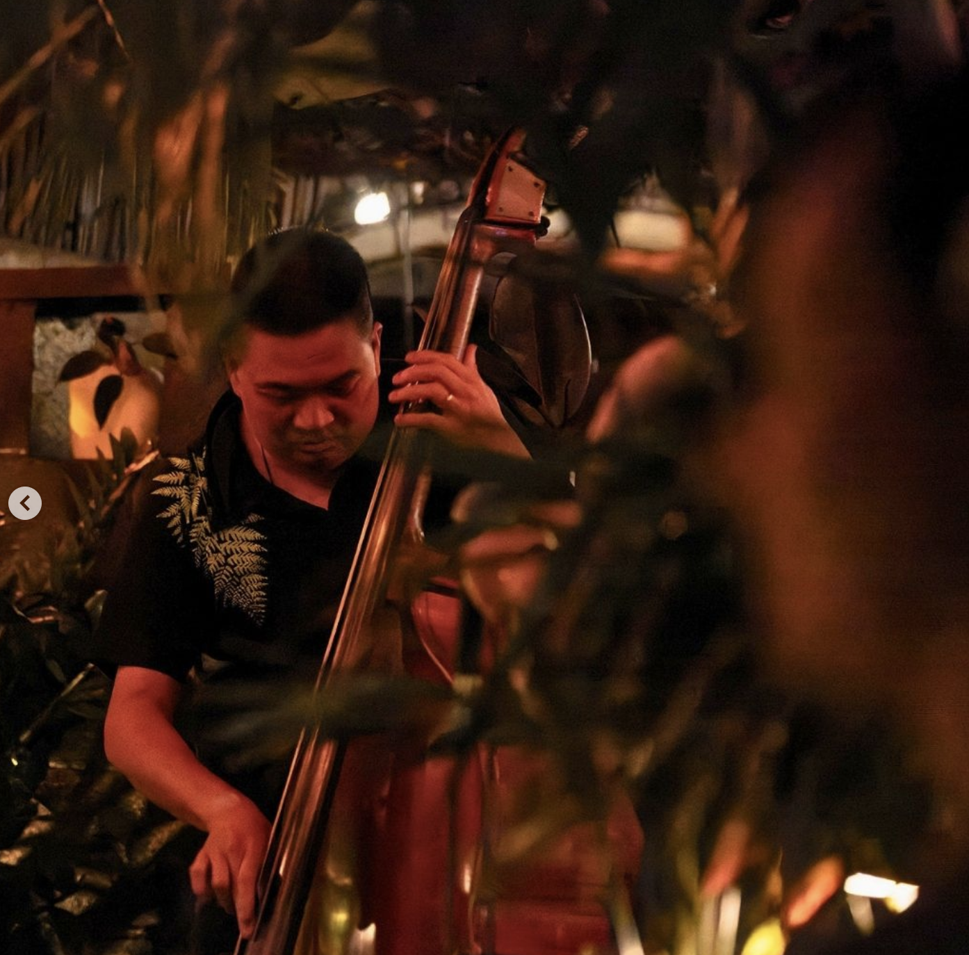 TROPICAL JAZZ TUESDAYS 