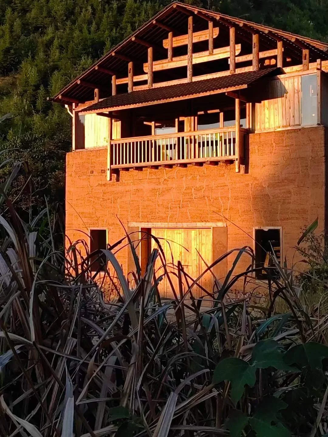 Tea factory_sunset.jpg