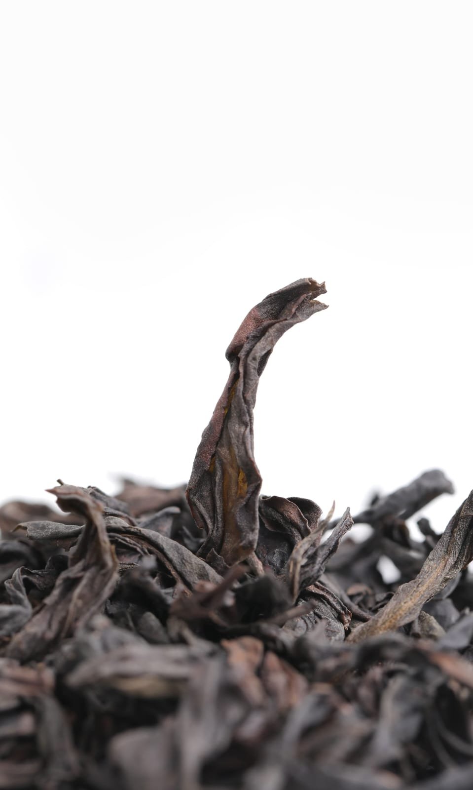 Special Oolong.jpg