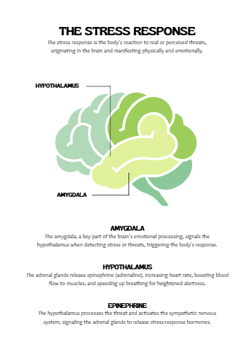 Screenshot 2026-01-15 194010.png