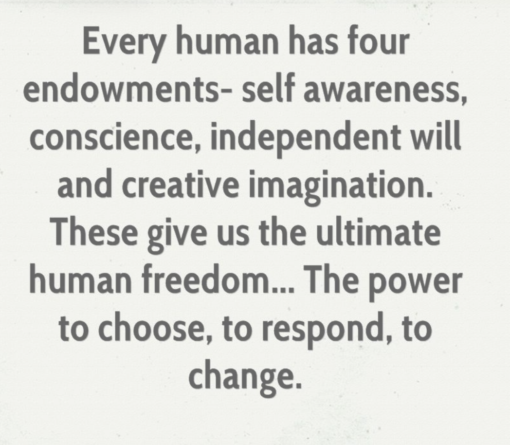 Screen Shot 2019-12-03 at 10.00.32 AM.png