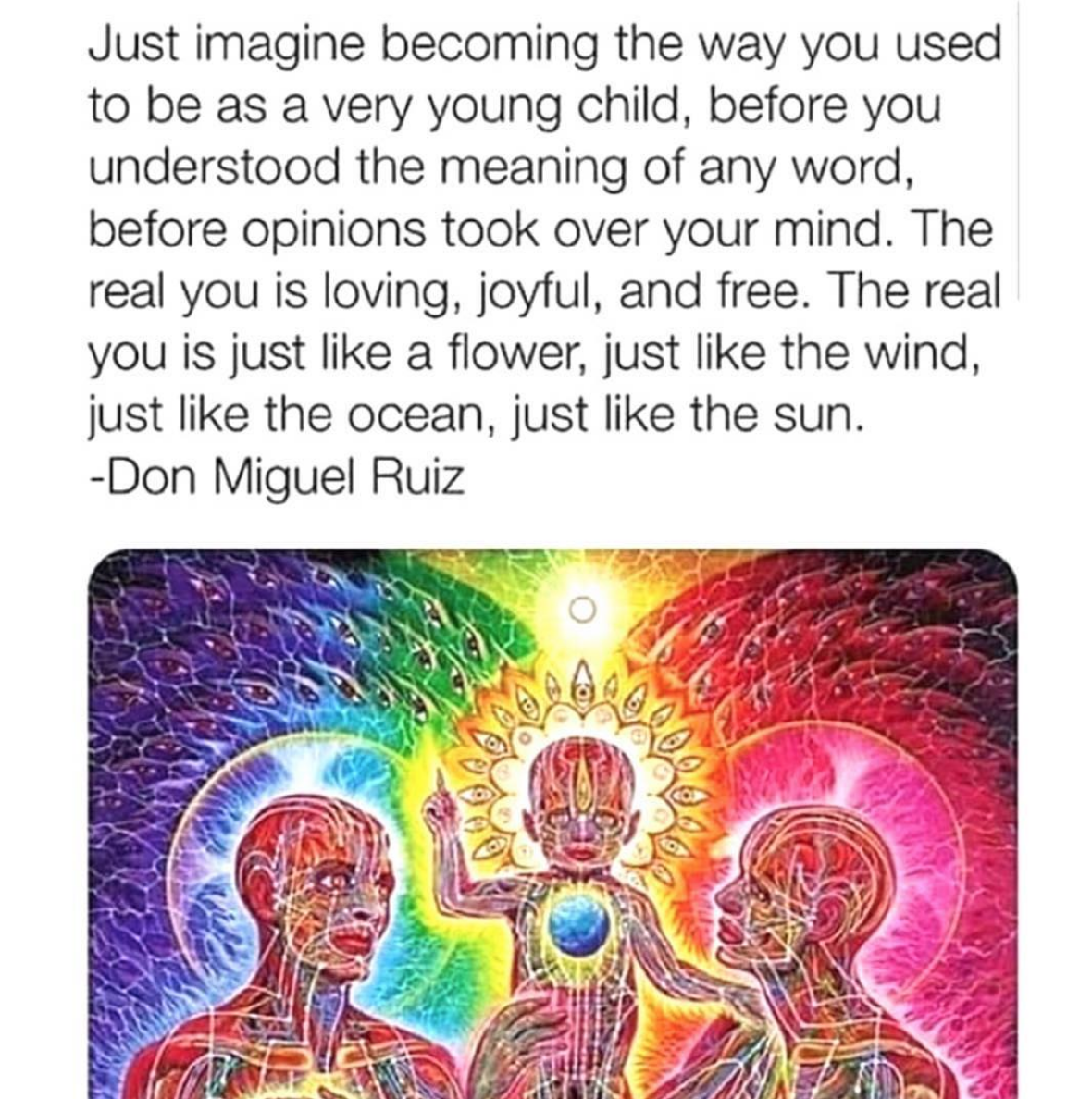 Screen Shot 2019-12-03 at 11.18.53 PM.png