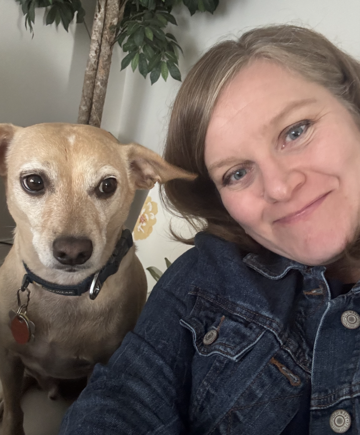 Photo of certified IFS Therapist Susan Wesnoski who offers individual consultation and Internal Family Systems Group consultation