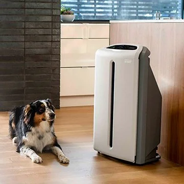 Air Purification