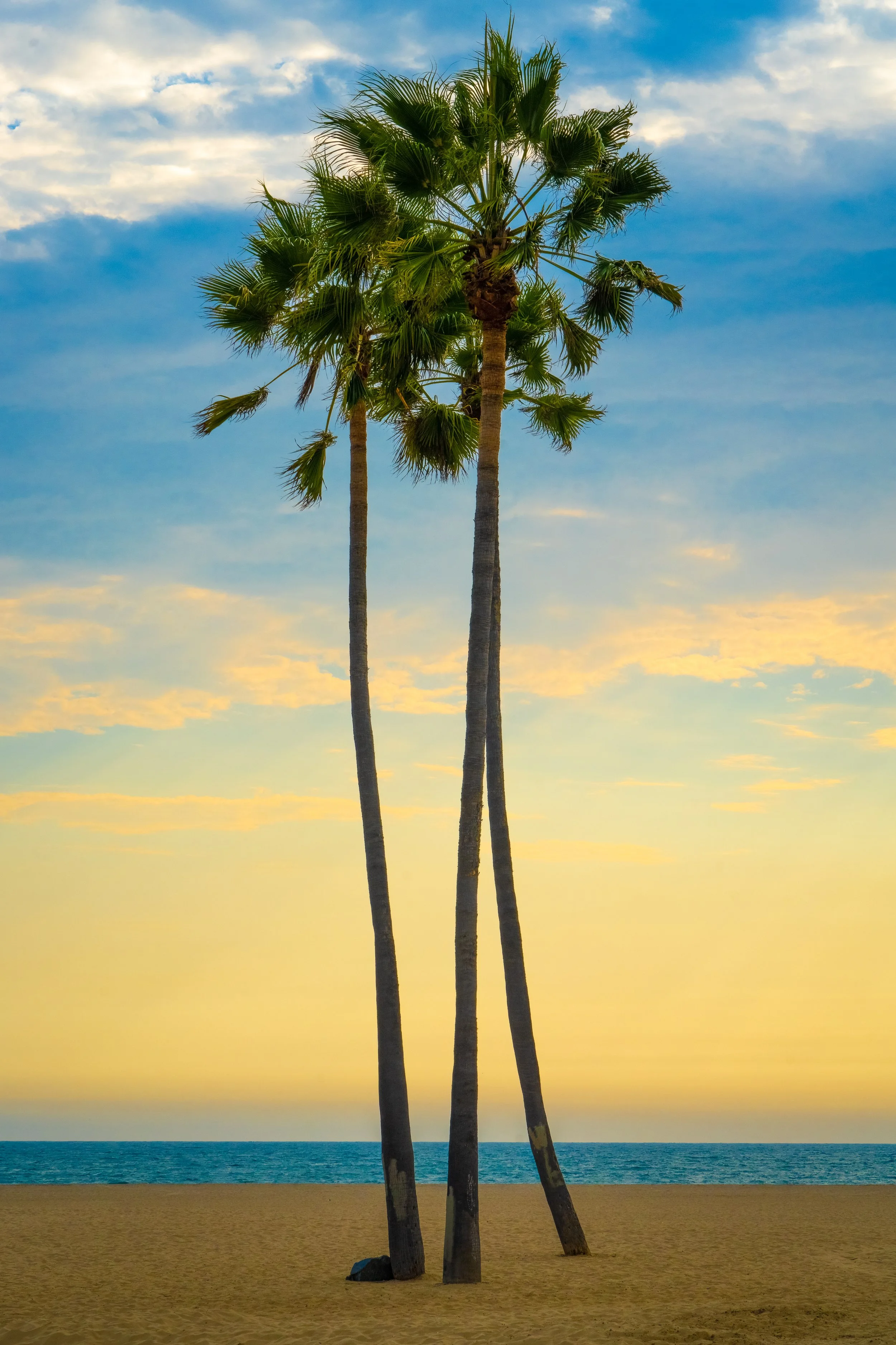 Venice Beach-1.JPG