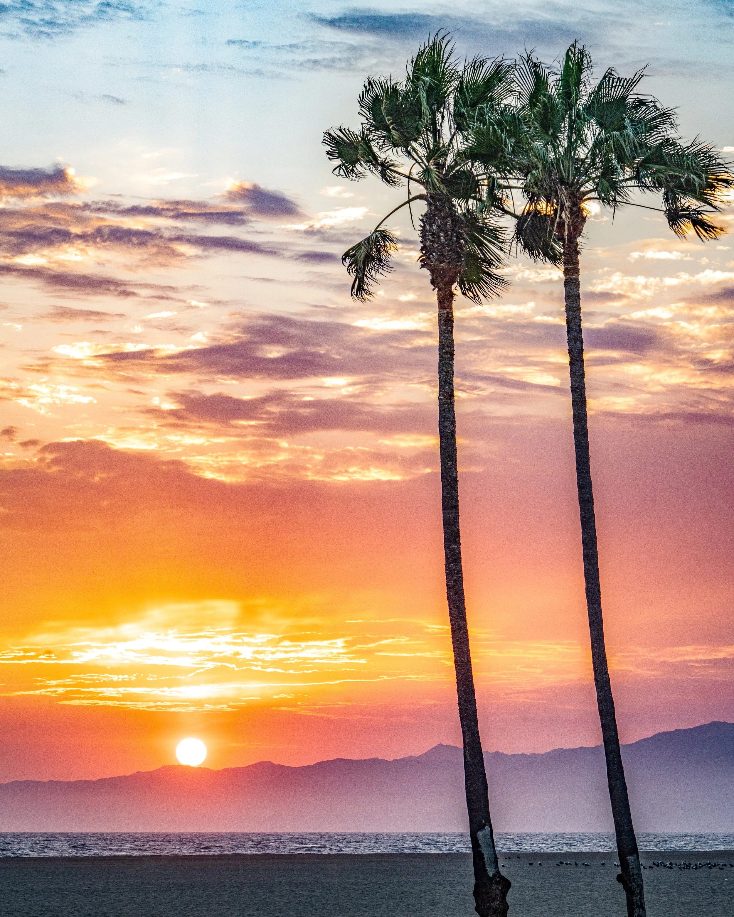 Venice Beach-3.JPG