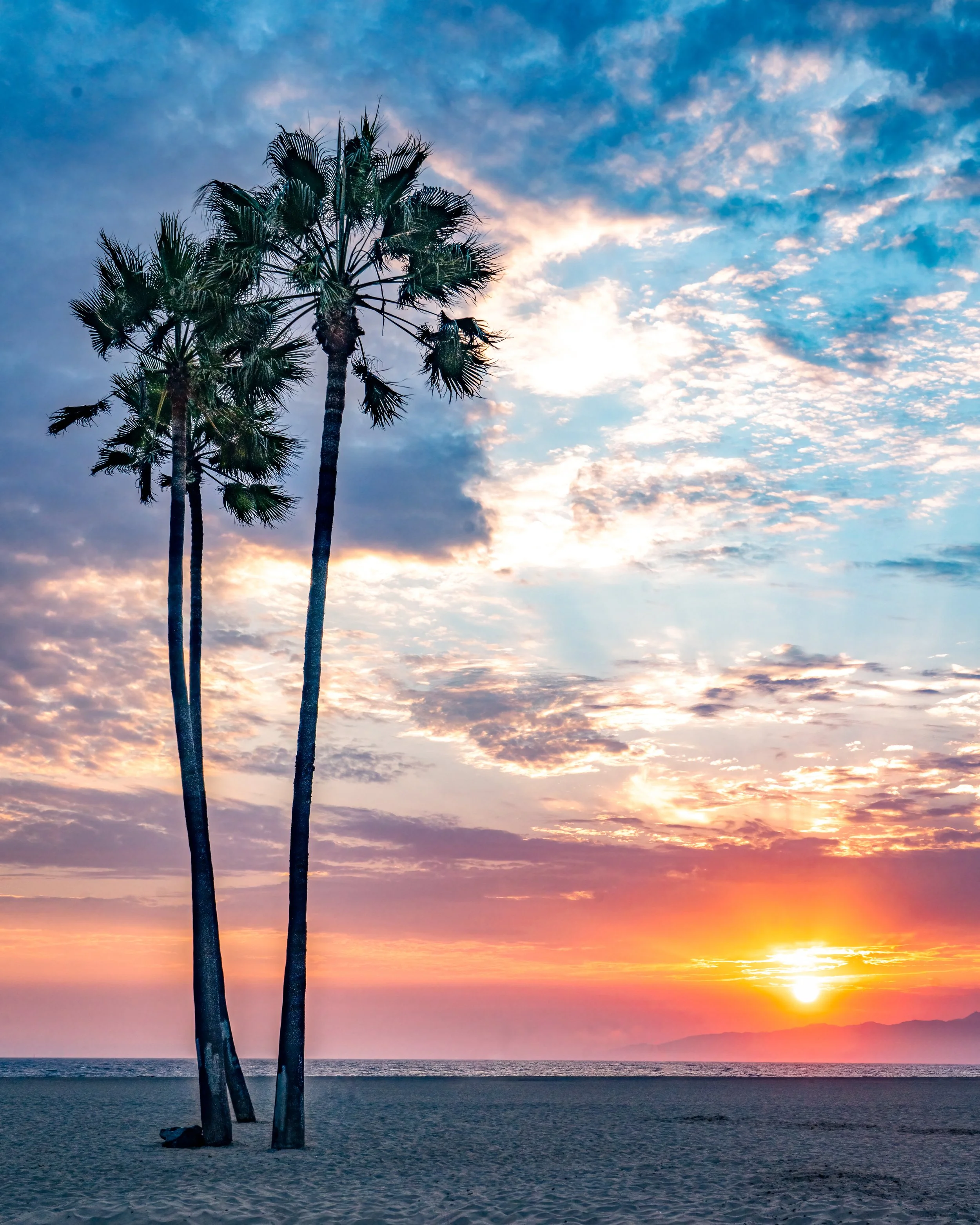 Venice Beach-2.JPG