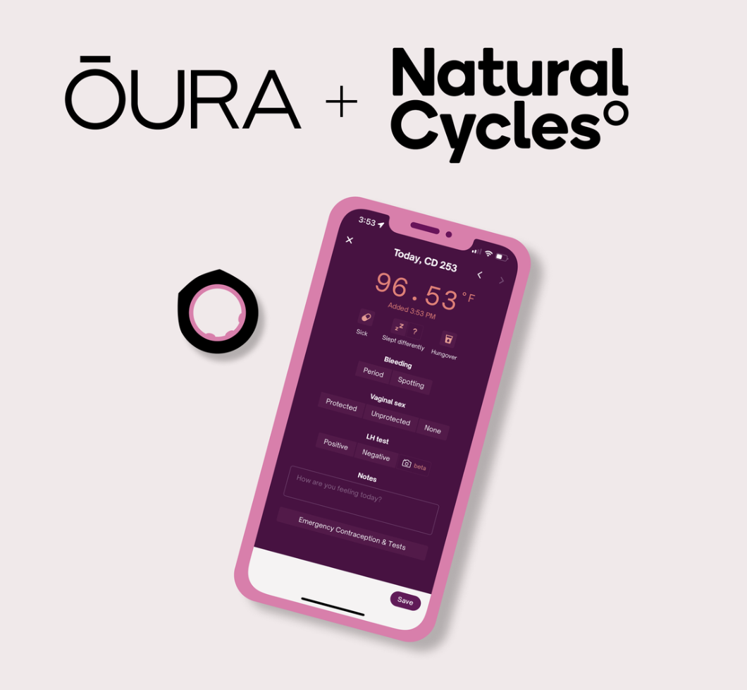 Screenshot 2024-10-28 at 11.09.05 AM.png