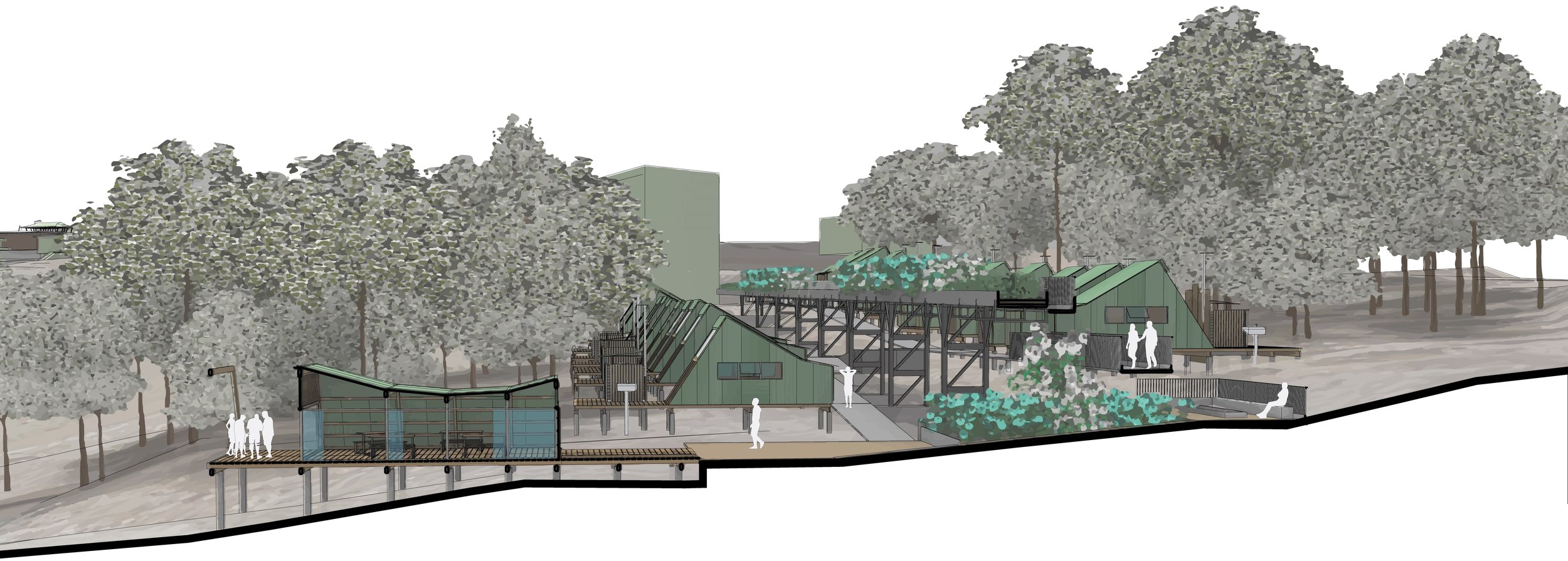 SECTION 1-cropped .jpg