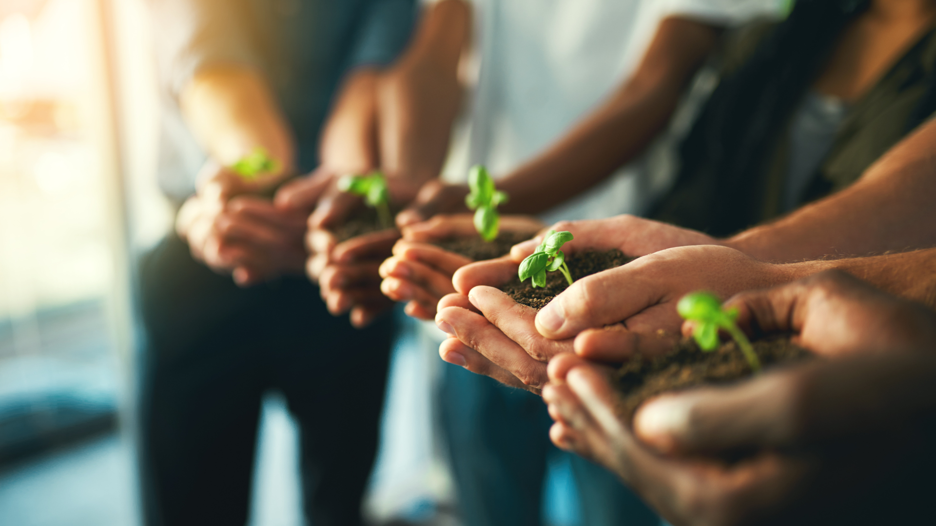 Lets grow what really matters!