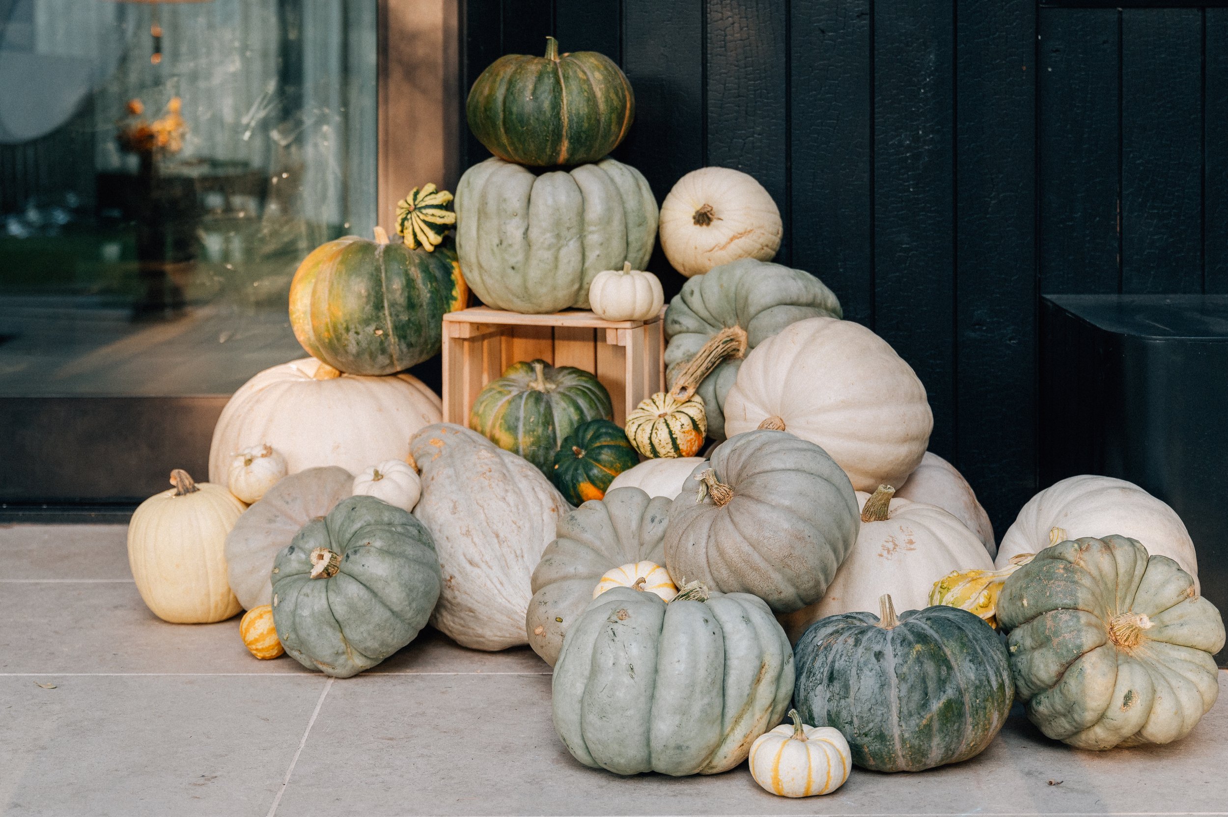 SPECTOR-PUMPKIN-156.jpg