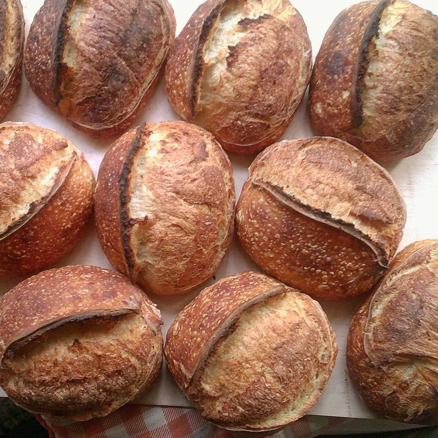 This week in the bakery through the @campsnapcamera - lots of bread, recipe developing and early autumn 🎞️🍞🧺🍂
