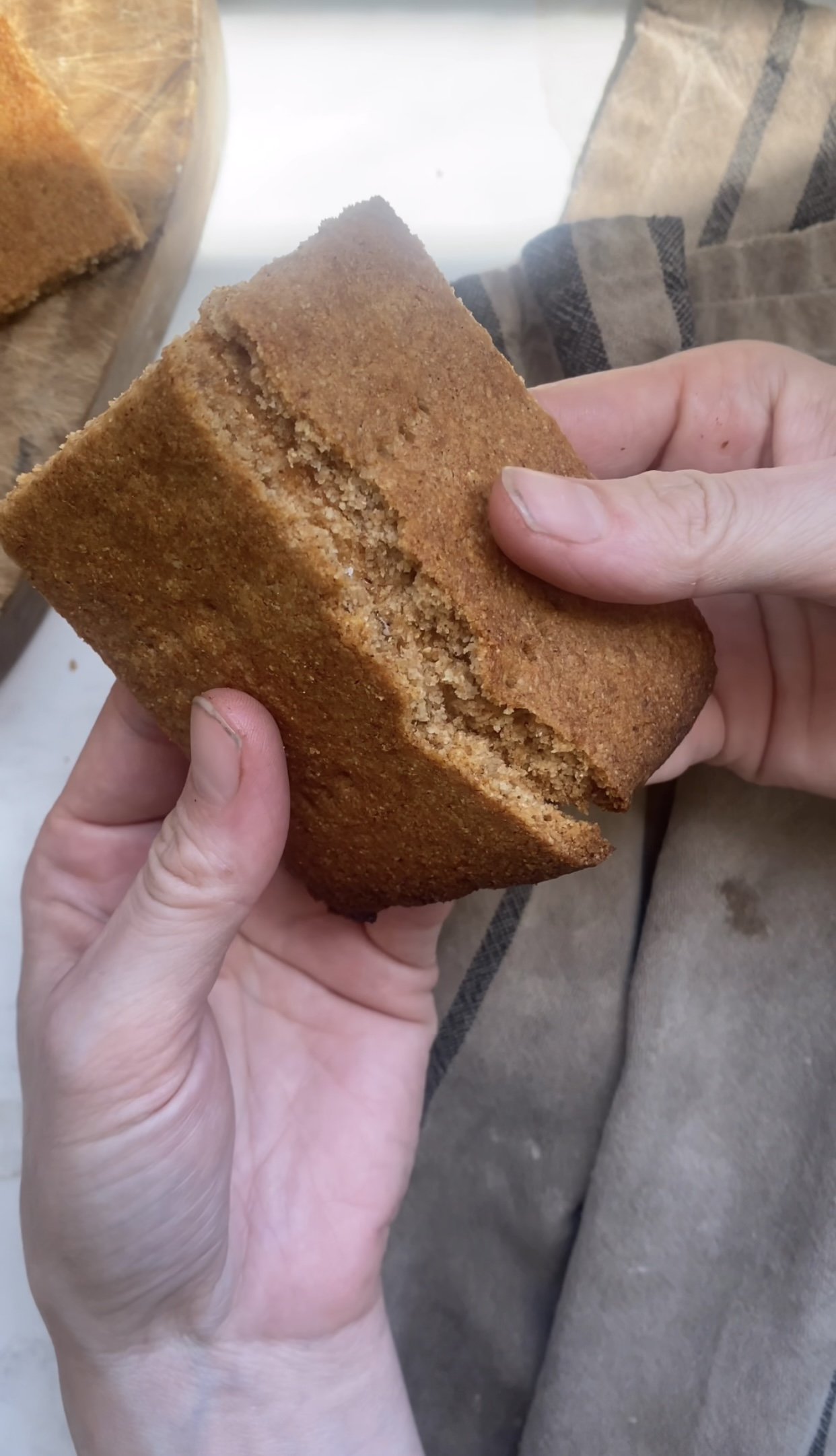 Nourishing Sourdough Graham Crackers