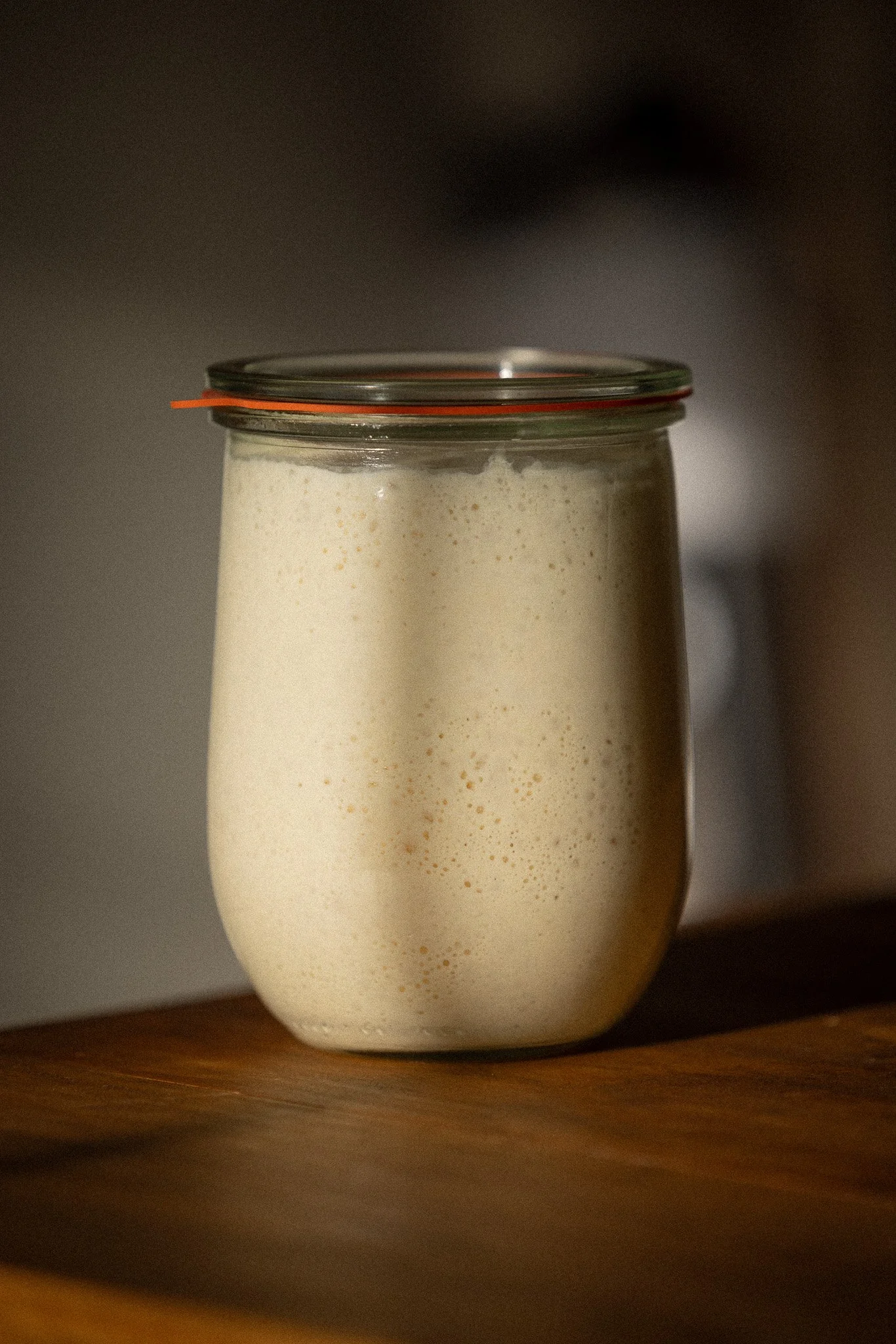 Sourdough Mama Organic Starter in Tulip Jar Morning Sun.jpg