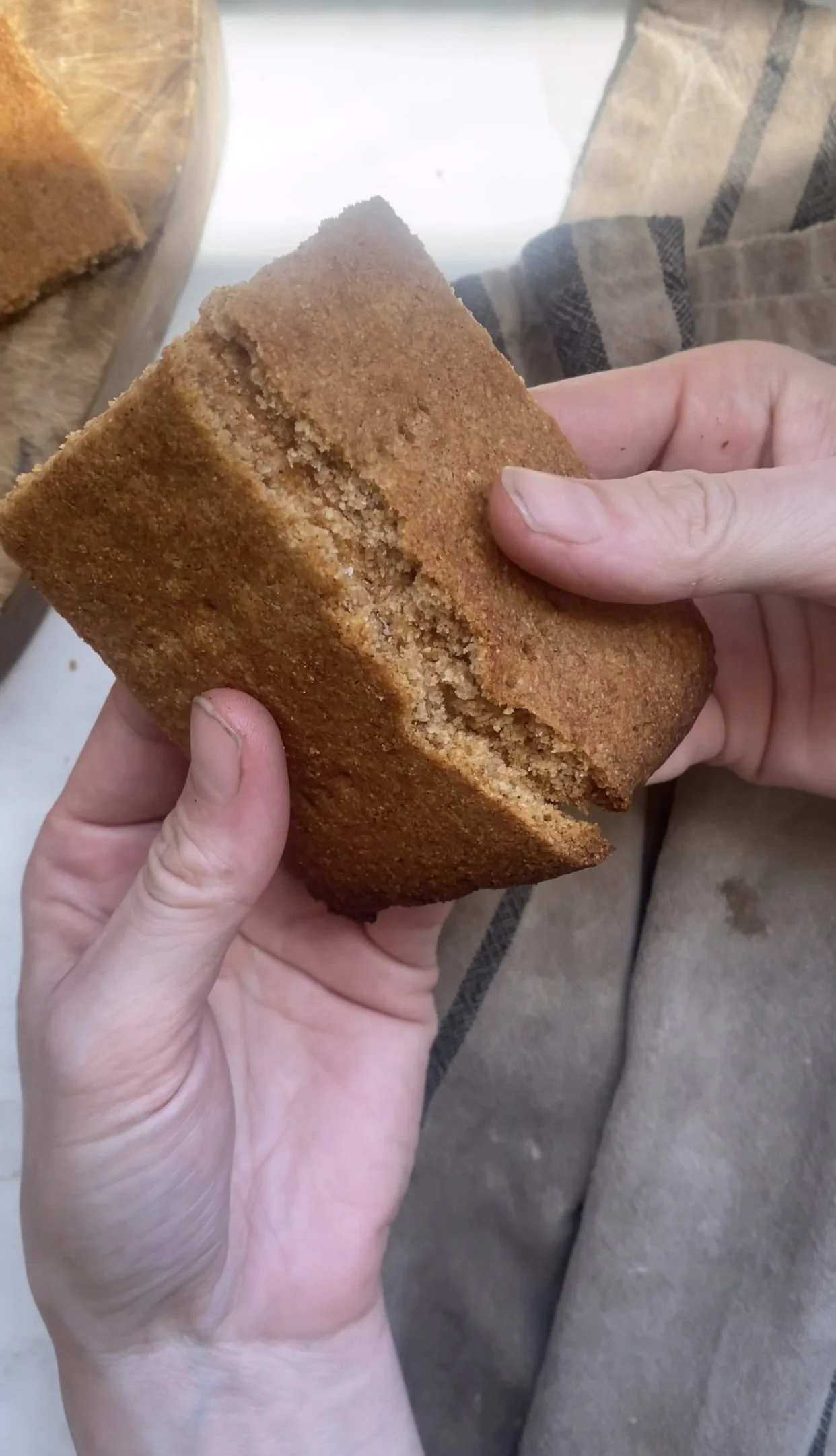 Sourdough Honey Graham Cracker Recipe Sourdough Mama Splitting Cracker