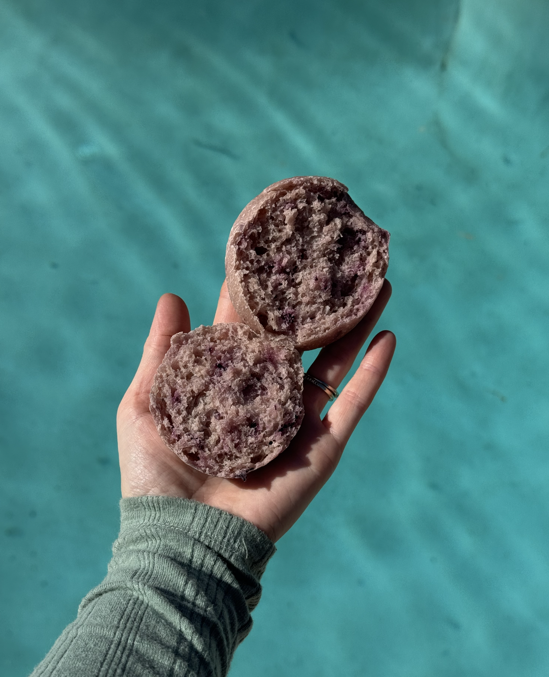 Sourdough Mama Blueberry English Muffin Recipe Open Crumb