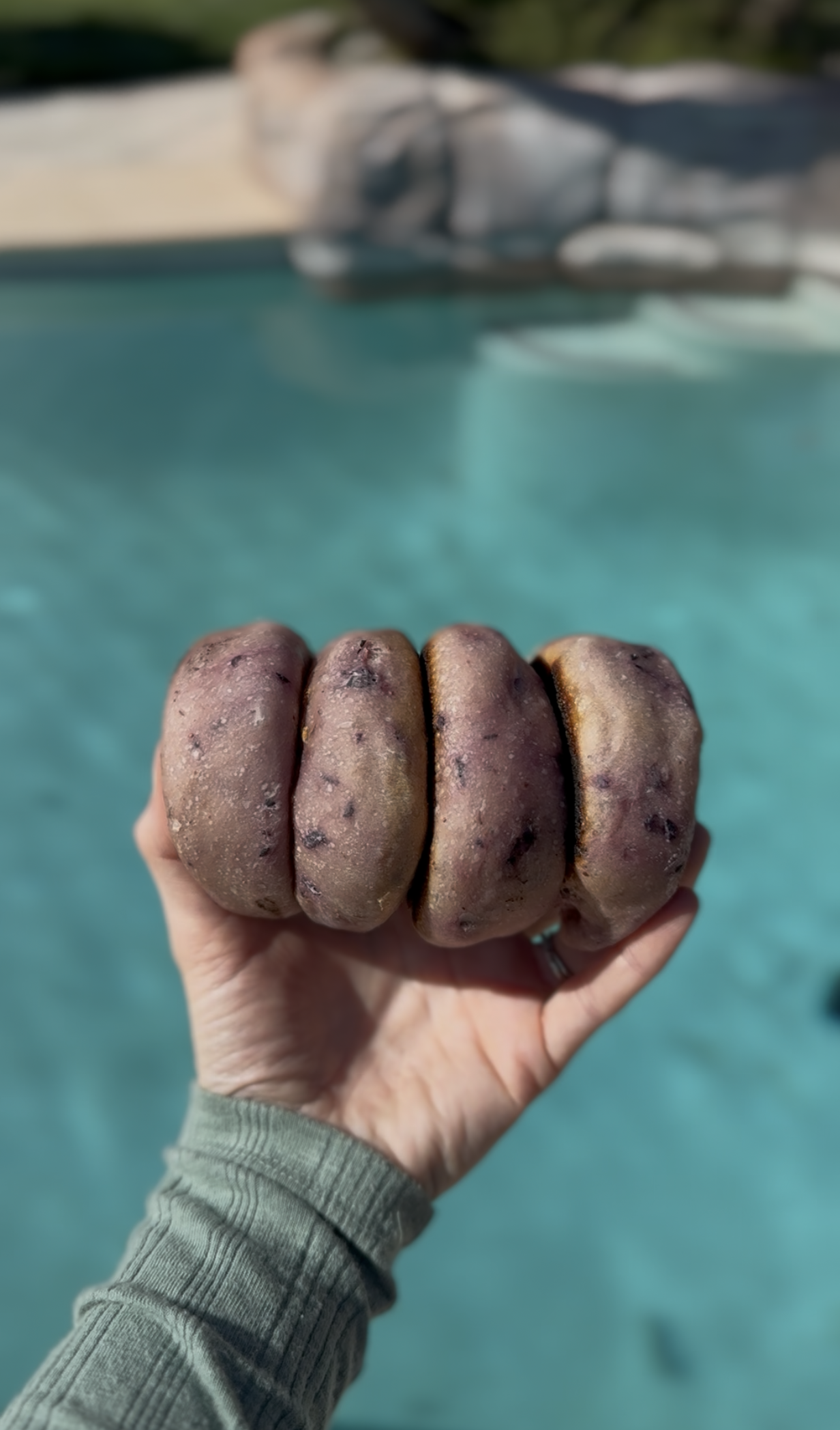 Sourdough Blueberry English Muffins