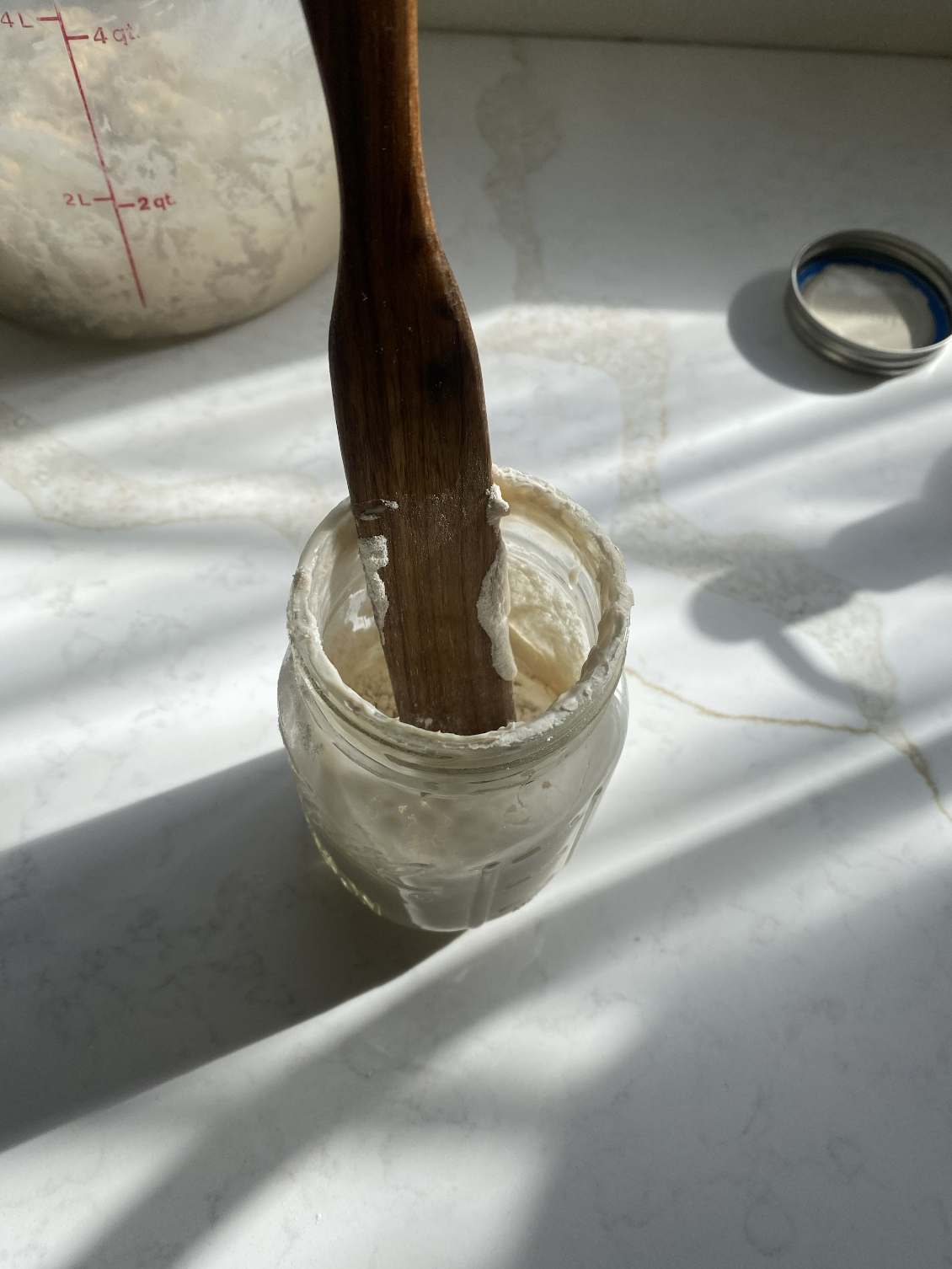 How to Rehydrate Your Sourdough Starter