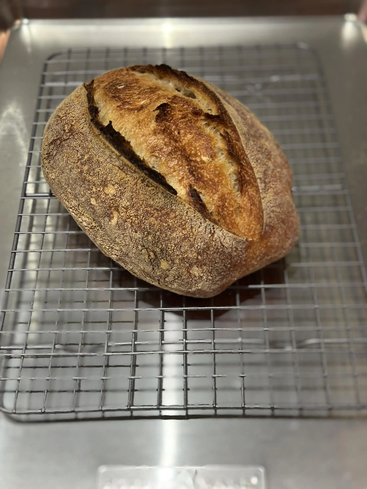 jordan sourdough mama first loaf.jpeg