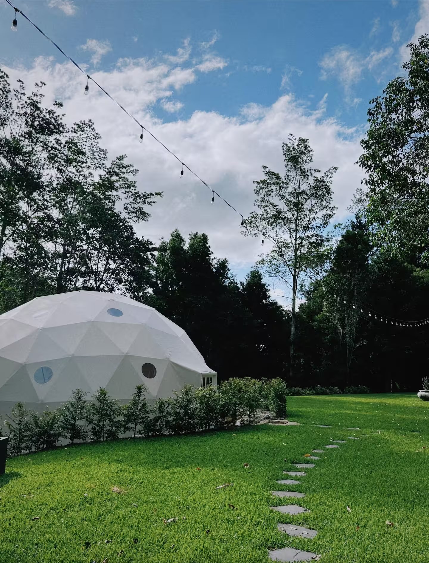 Dome 2.jpeg