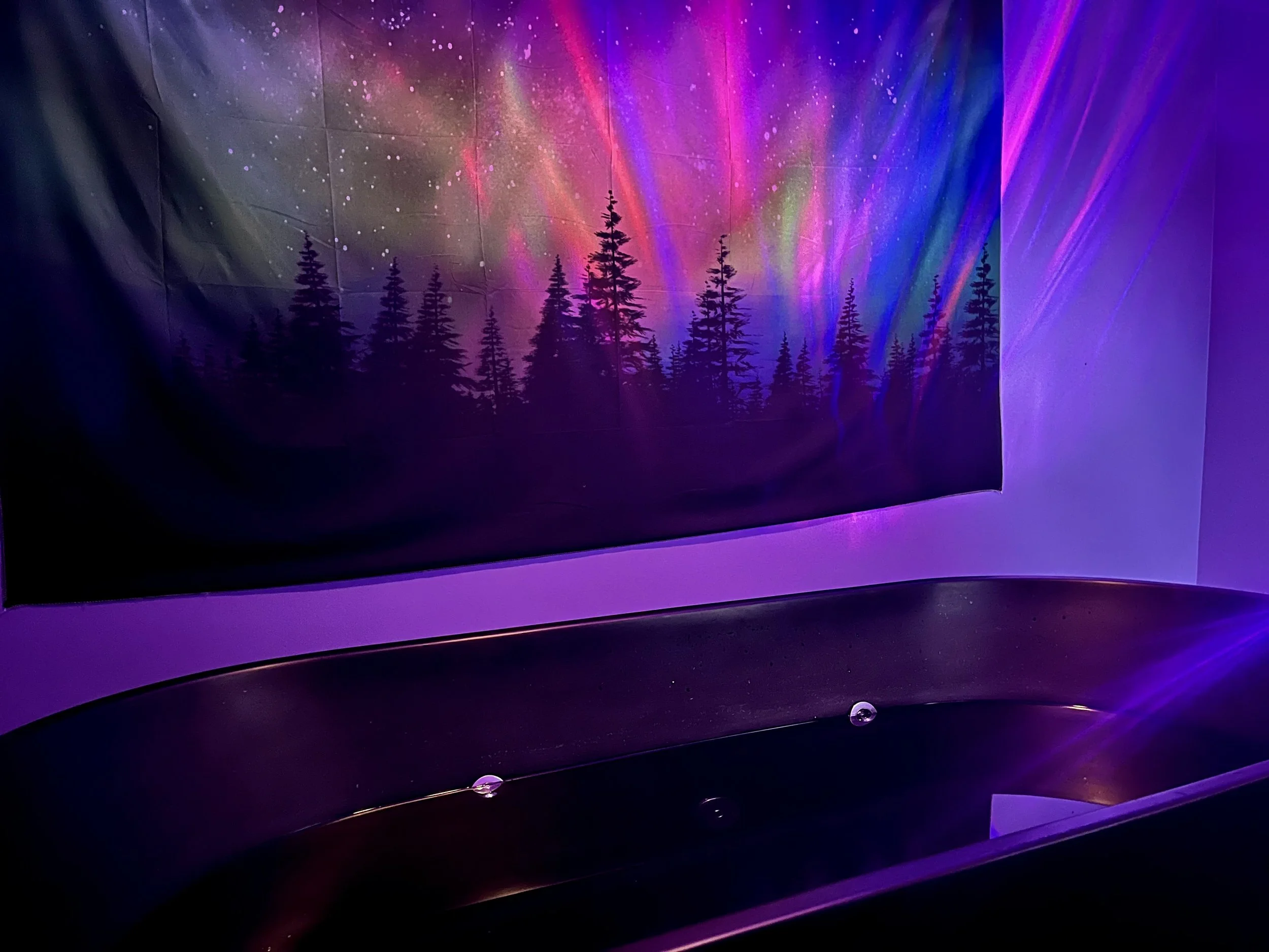 Sanaras Wellness Studio in Tecumseh, MI - photo 2