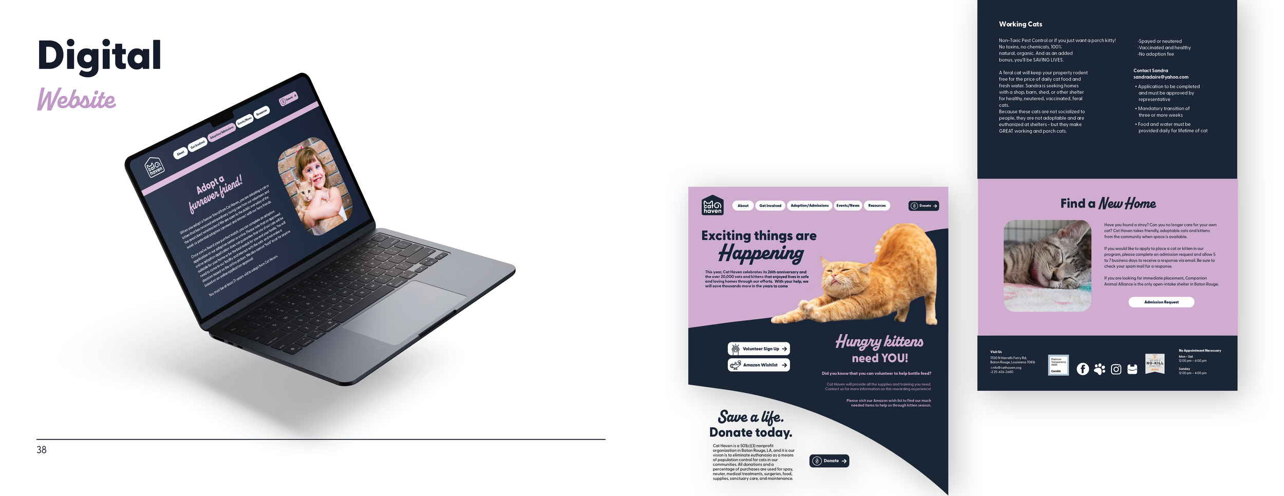 Cat Haven Brand Guidelines20.png